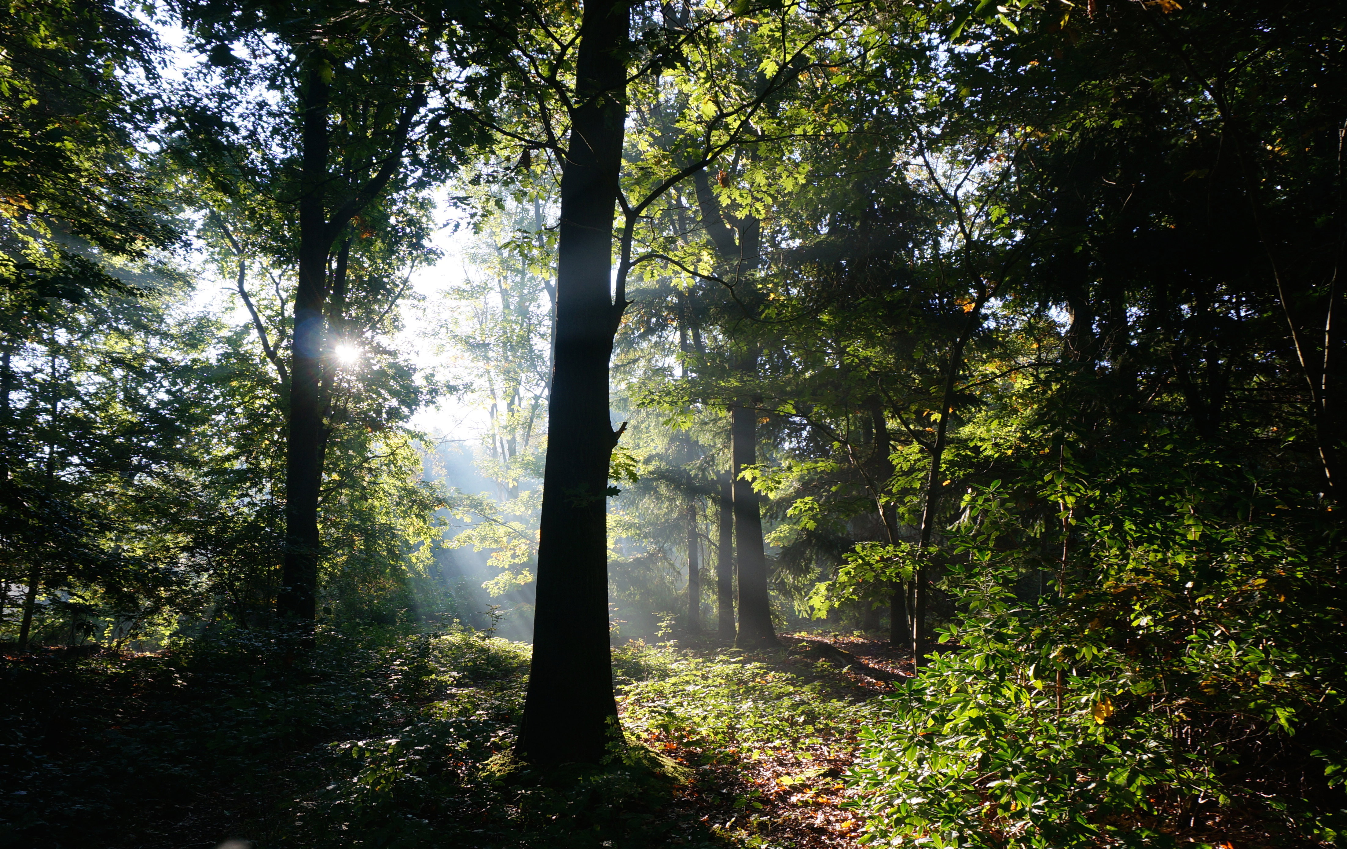 Naturhäuschen in Riel