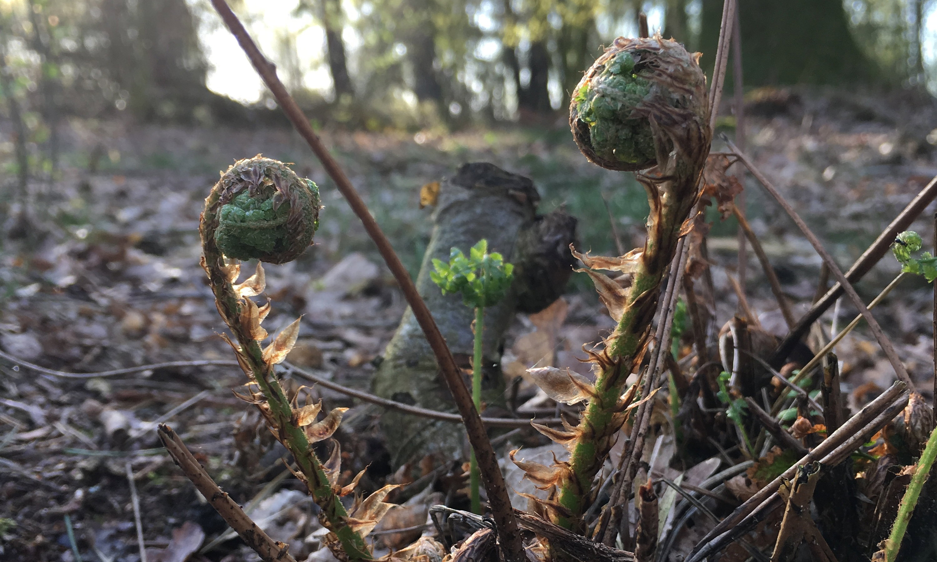 Naturhäuschen in Riel