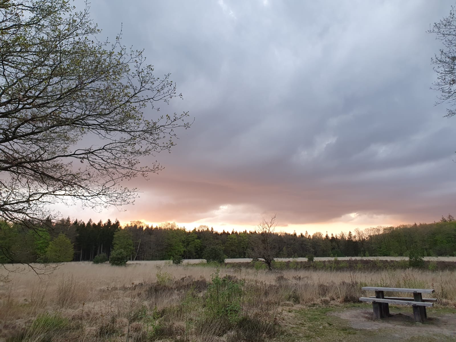 Natuurhuisje in Schoonloo