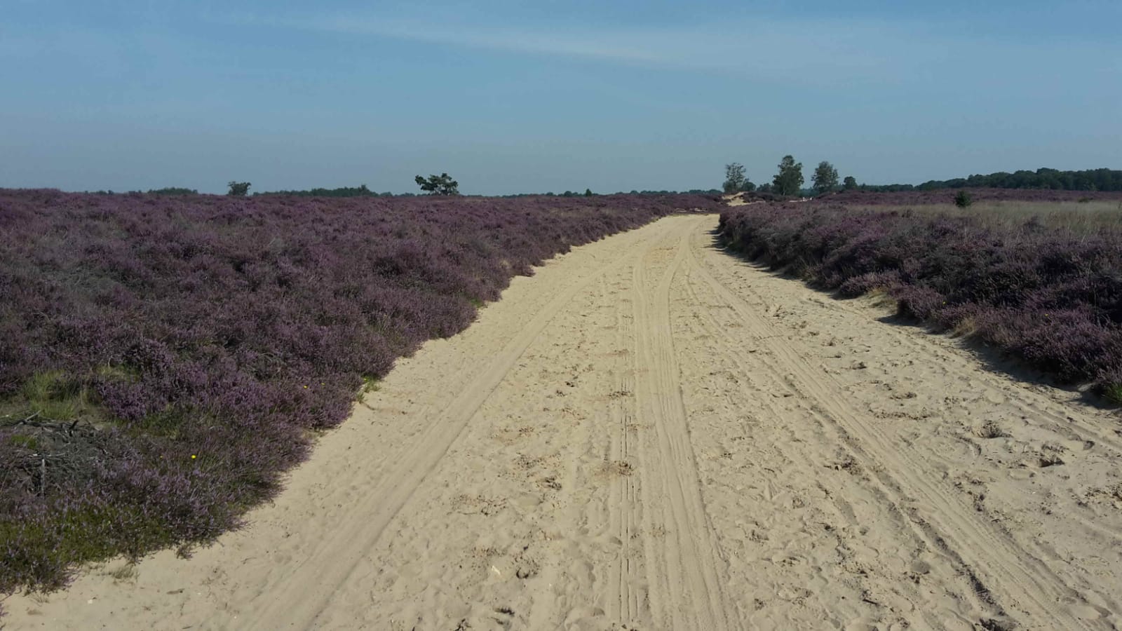 Natuurhuisje in Schoonloo