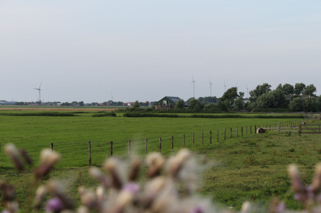 Maison nature à Burgerbrug