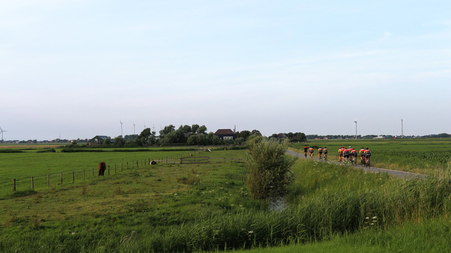 - image: 23