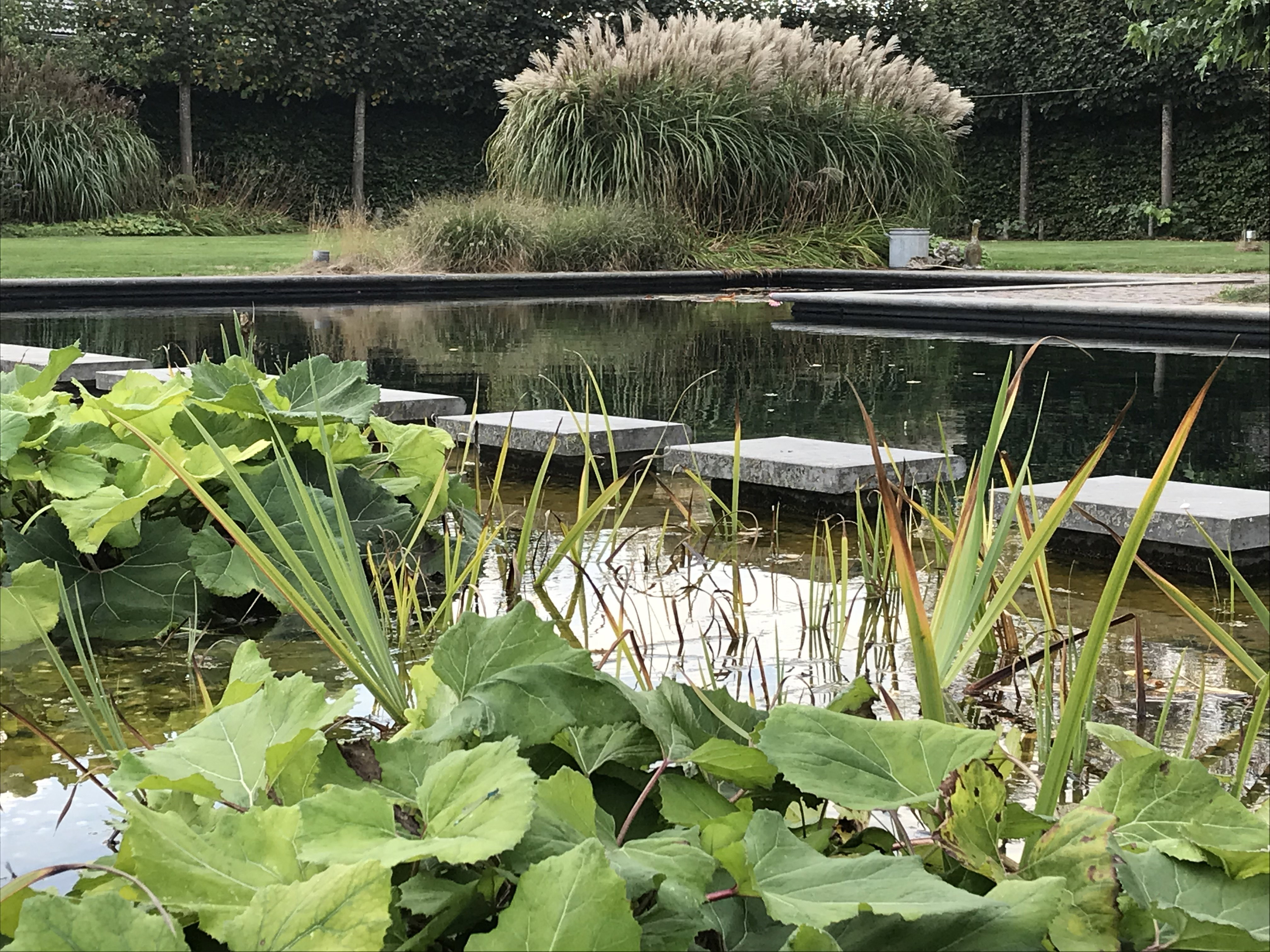 Naturhäuschen in Baarle-Nassau