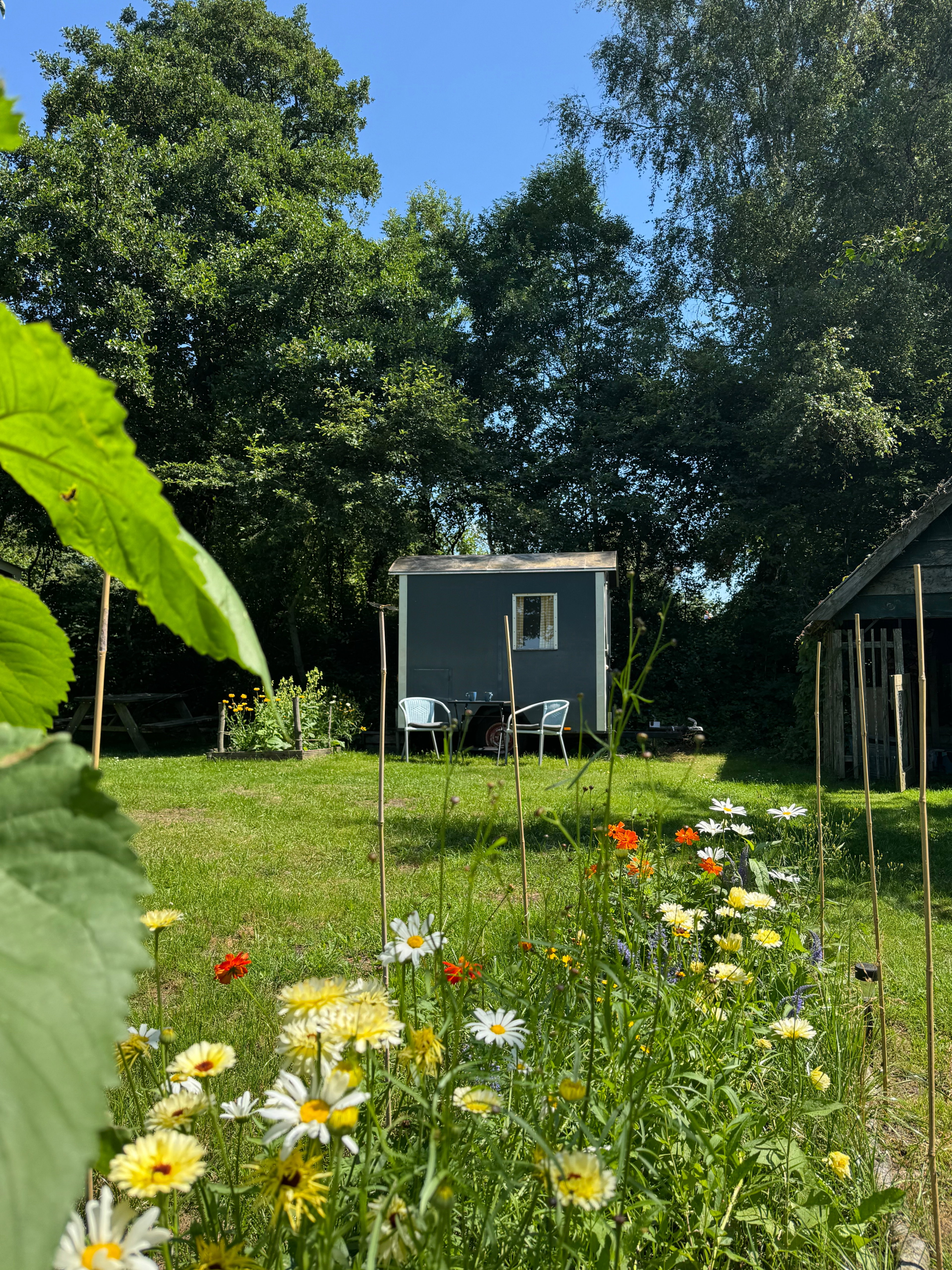 Casa nella natura a Wedde
