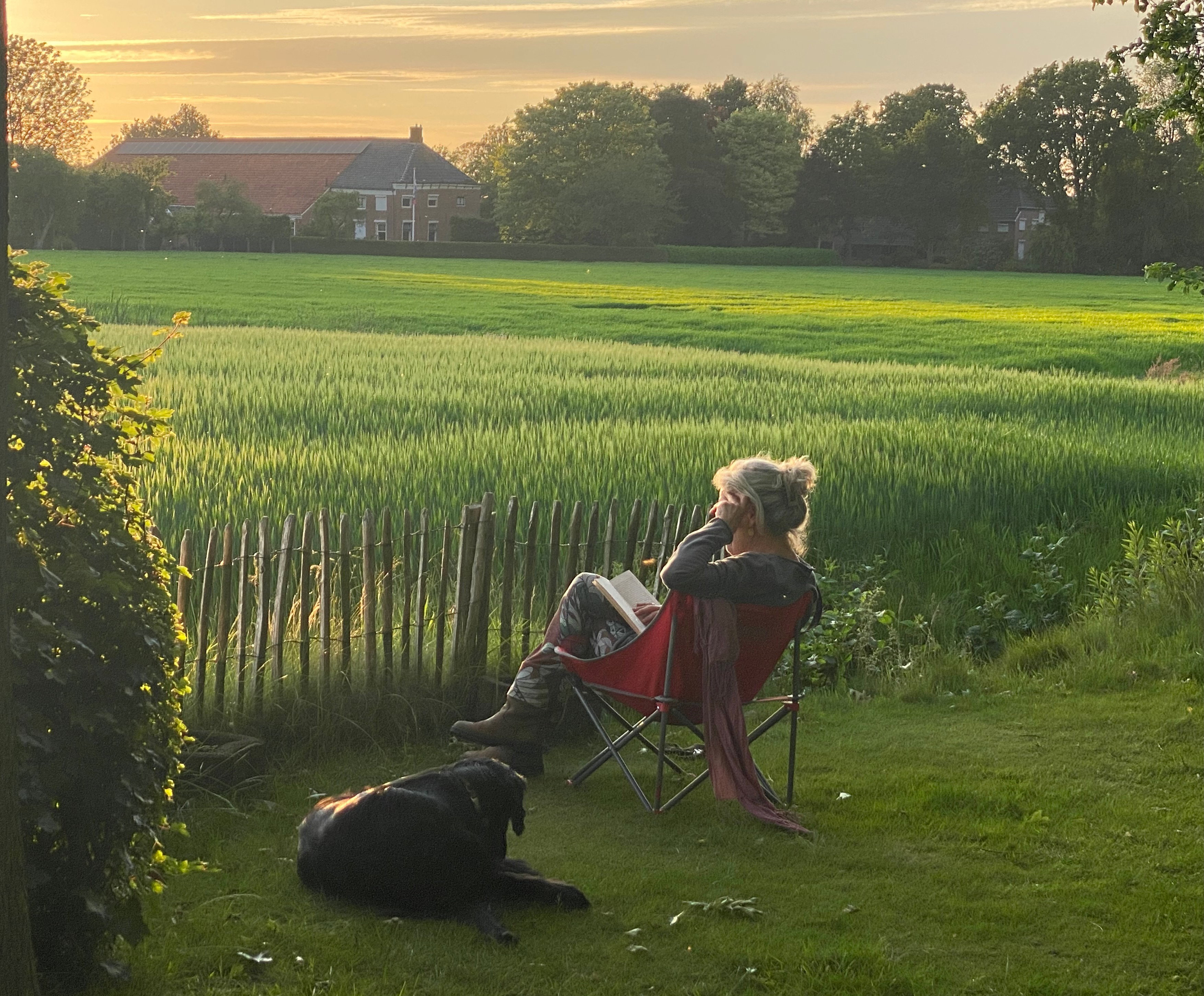 Natuurhuisje in Wedde