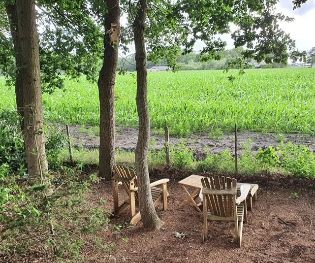 Naturhäuschen in Lemelerveld