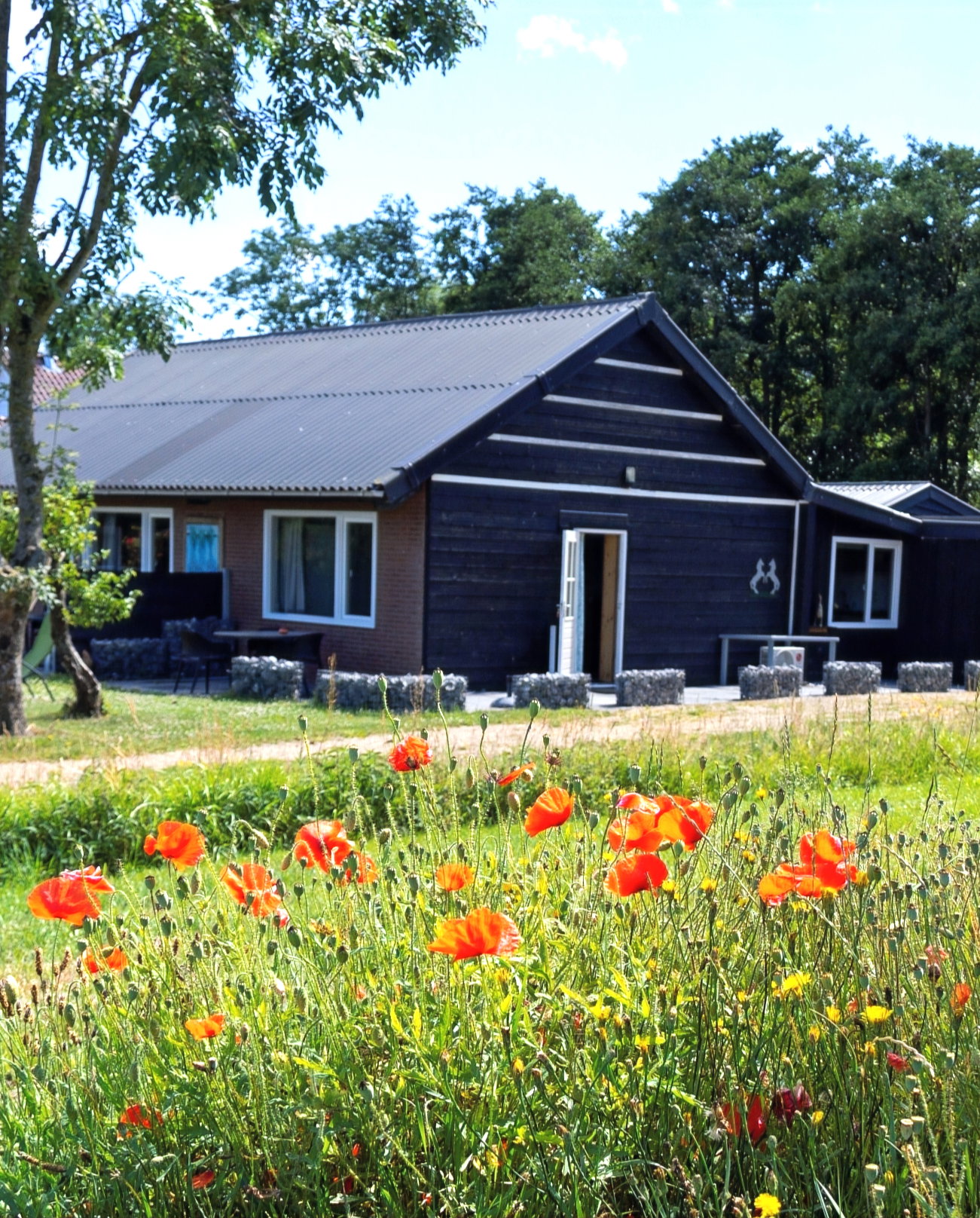 Casa nella natura a Renesse