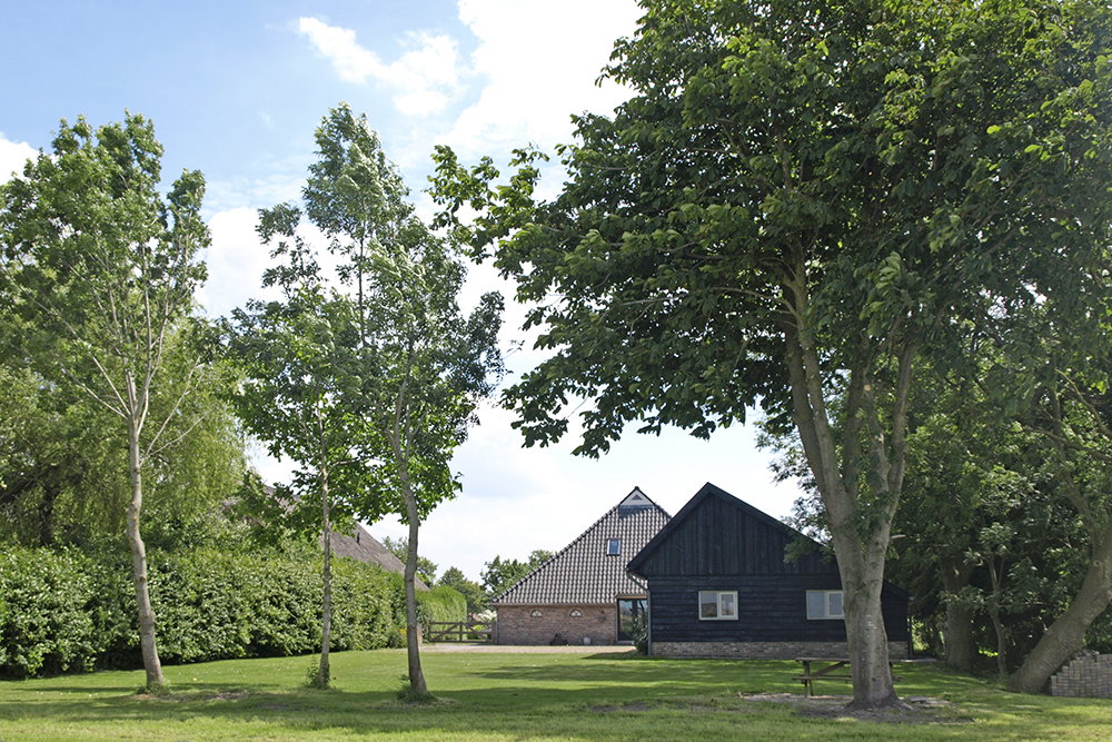- image: 26