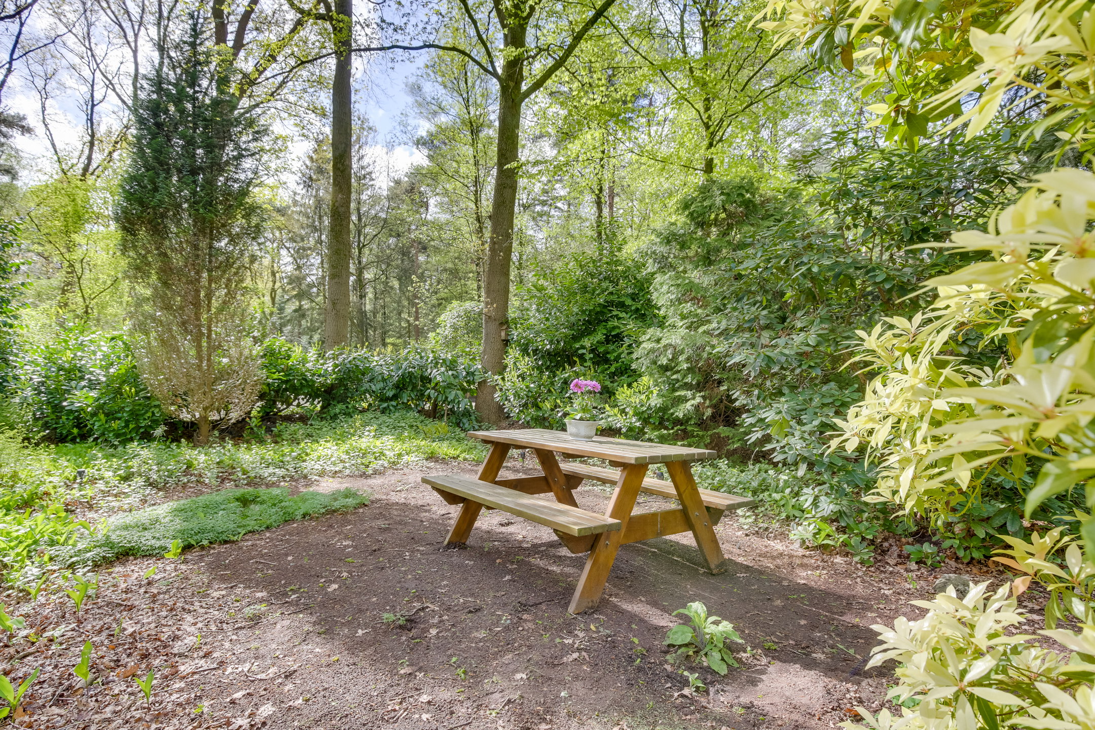 Natuurhuisje in Stegeren