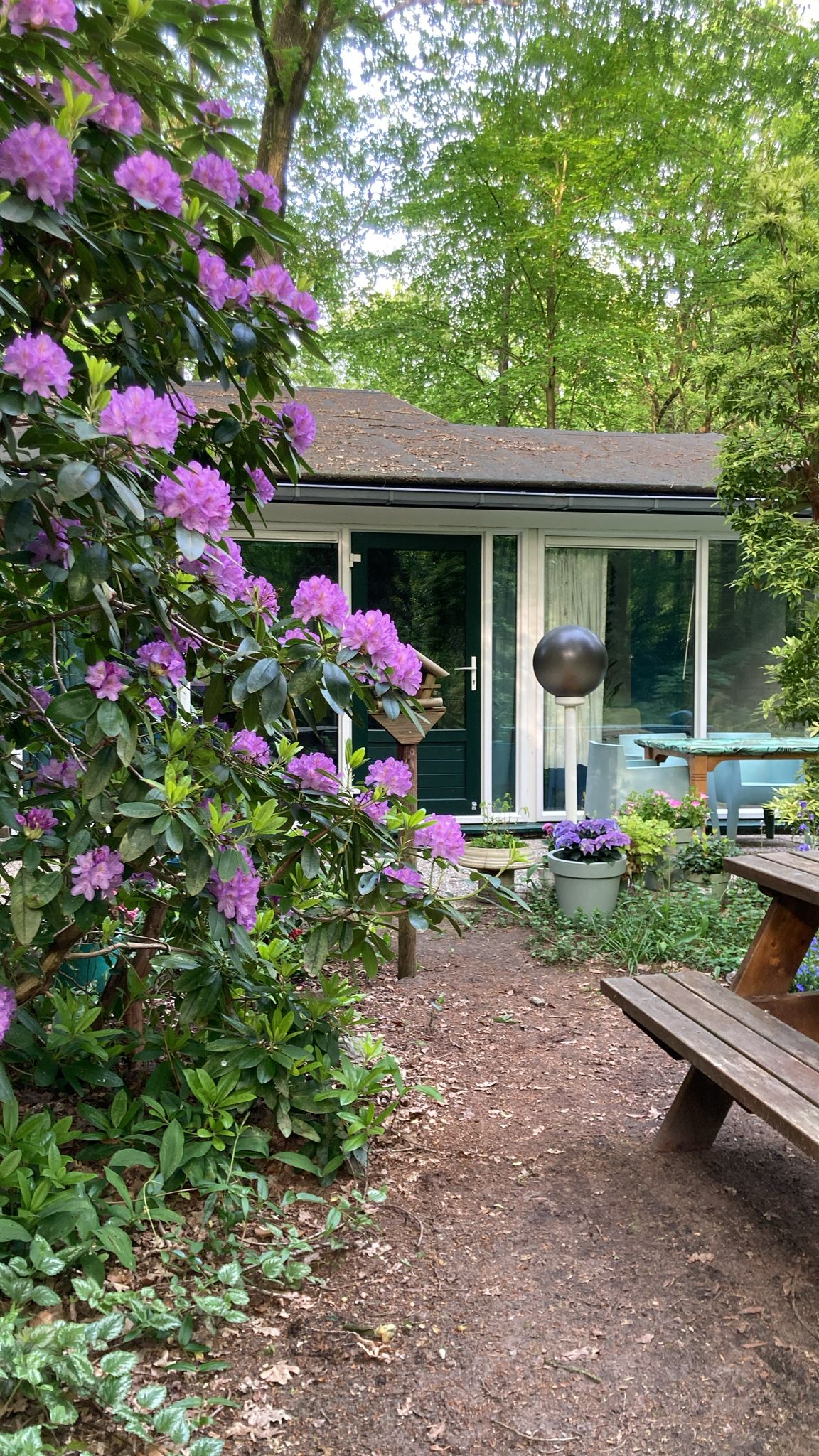 Natuurhuisje in Stegeren