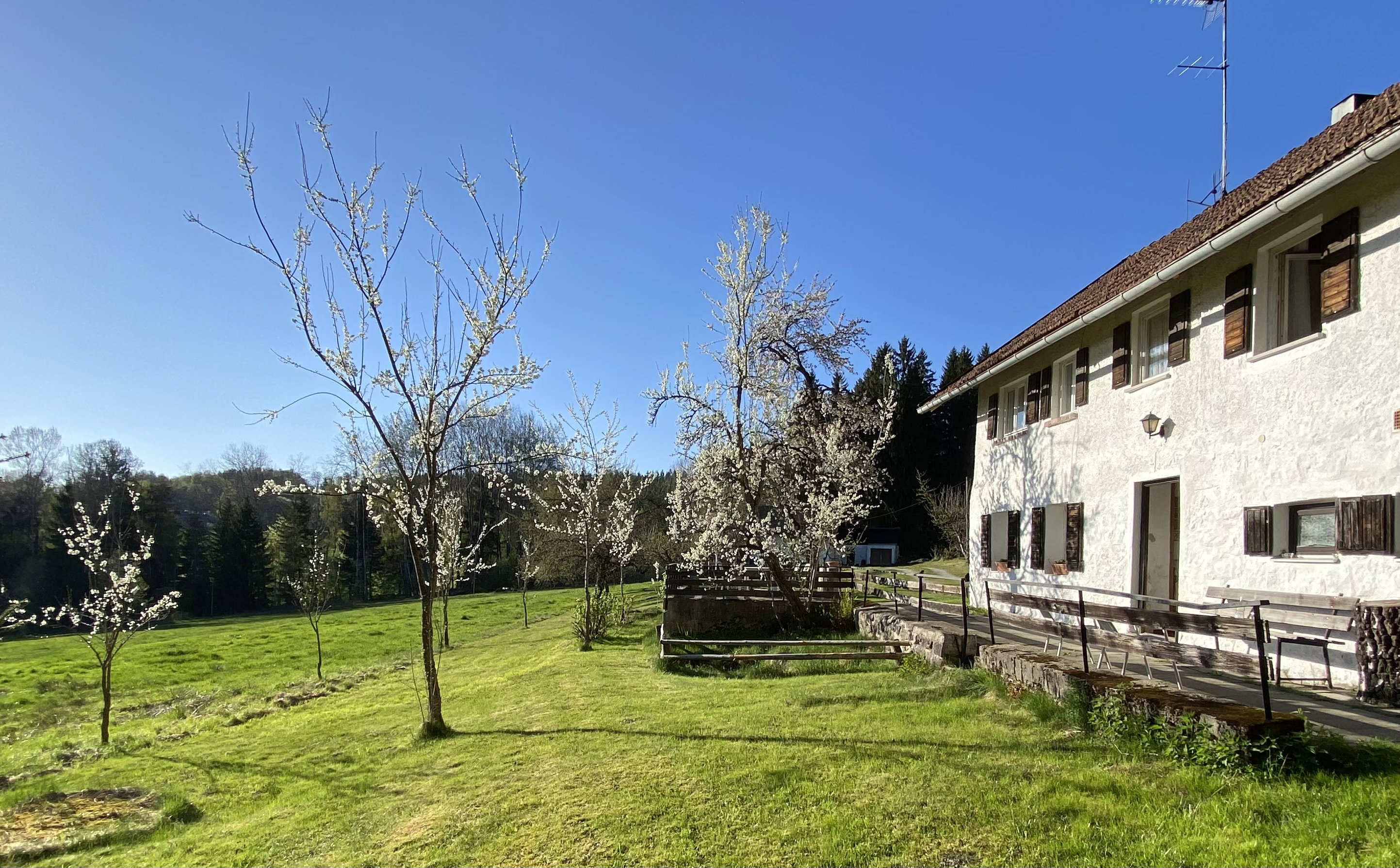 Maison nature à Regen