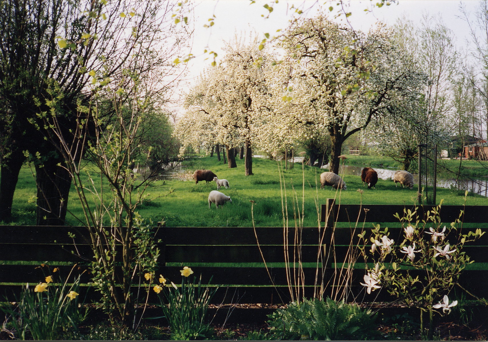 - image: 16