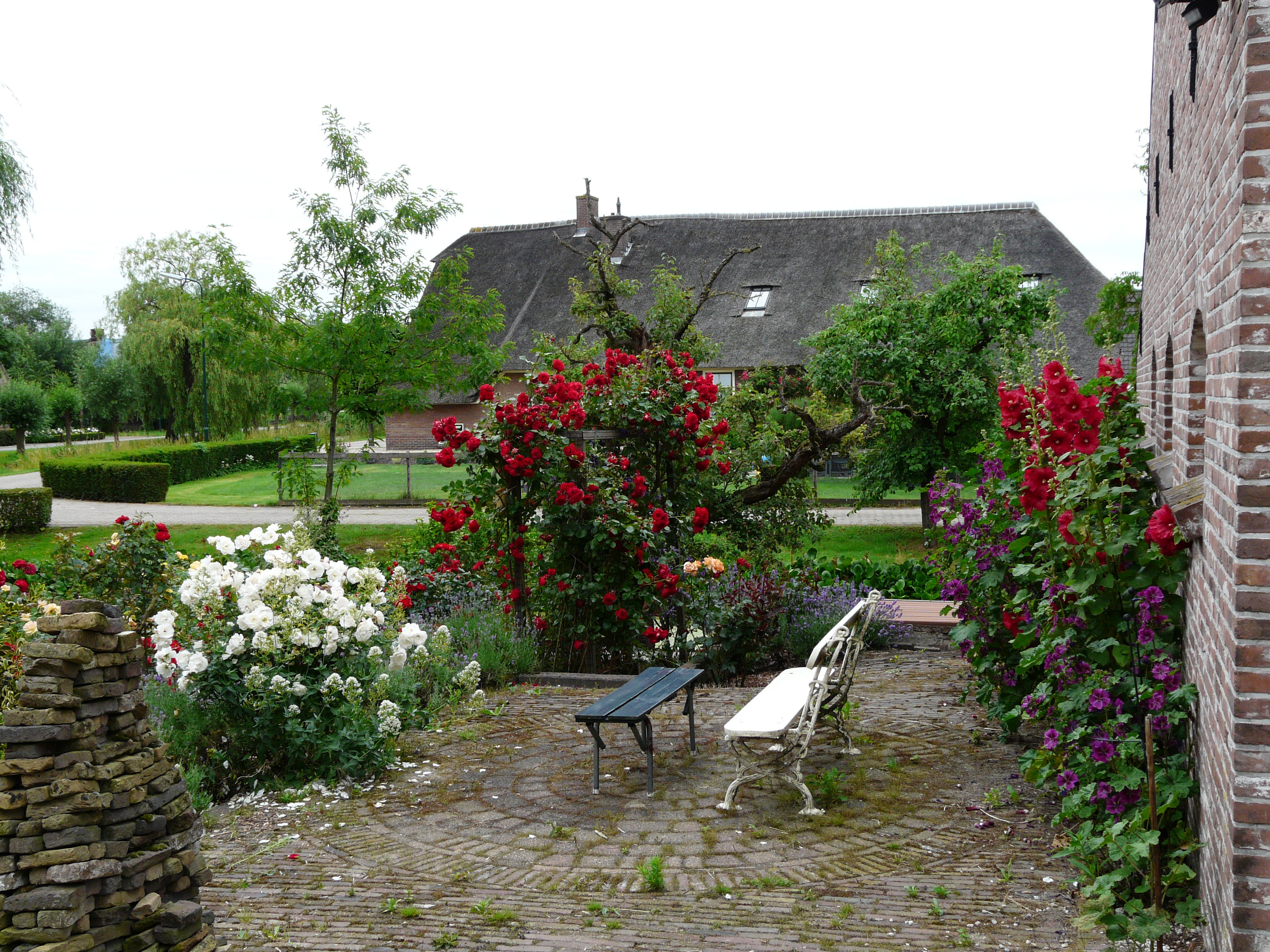 - image: 24