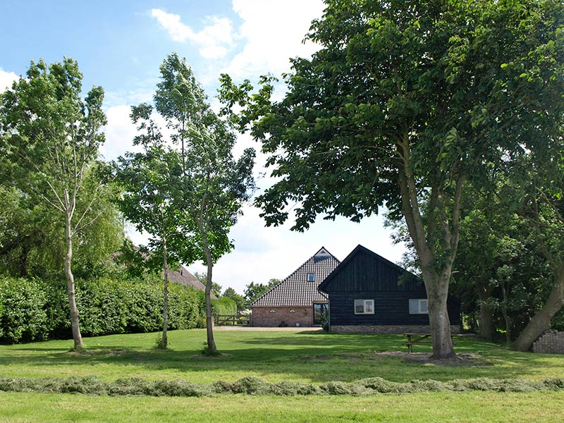 - image: 24