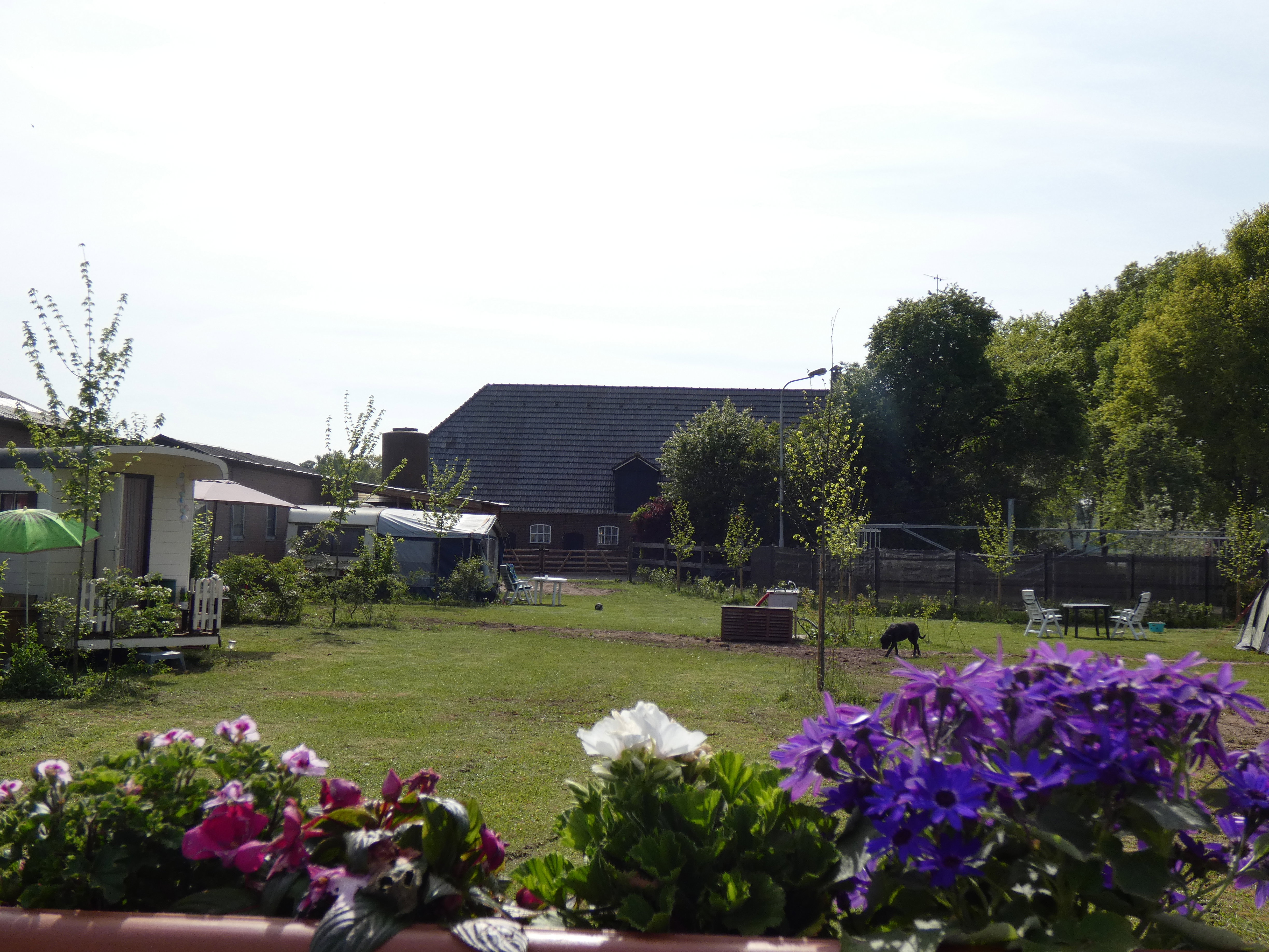 - image: 2
