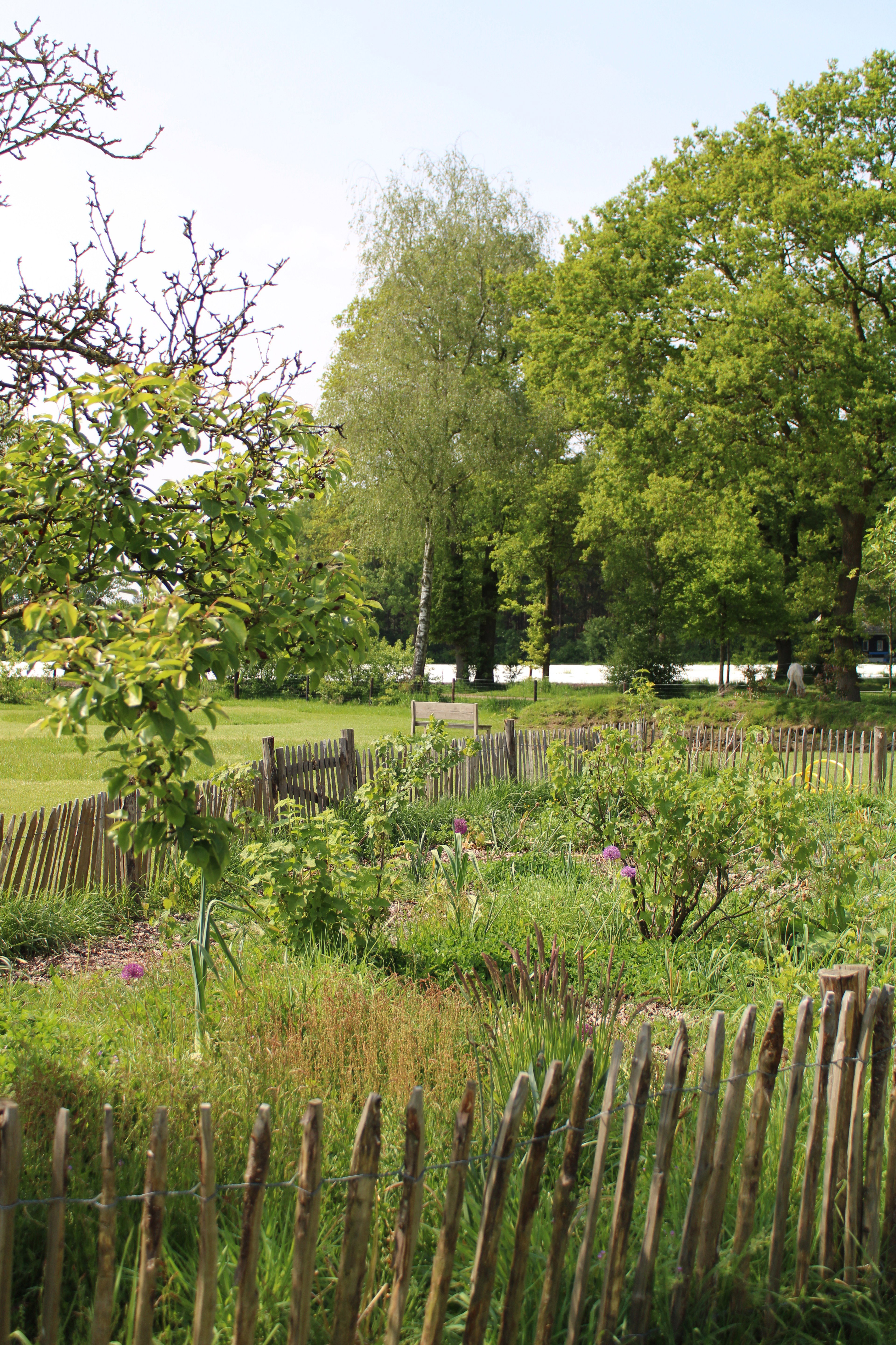 Casa nella natura a Okkenbroek