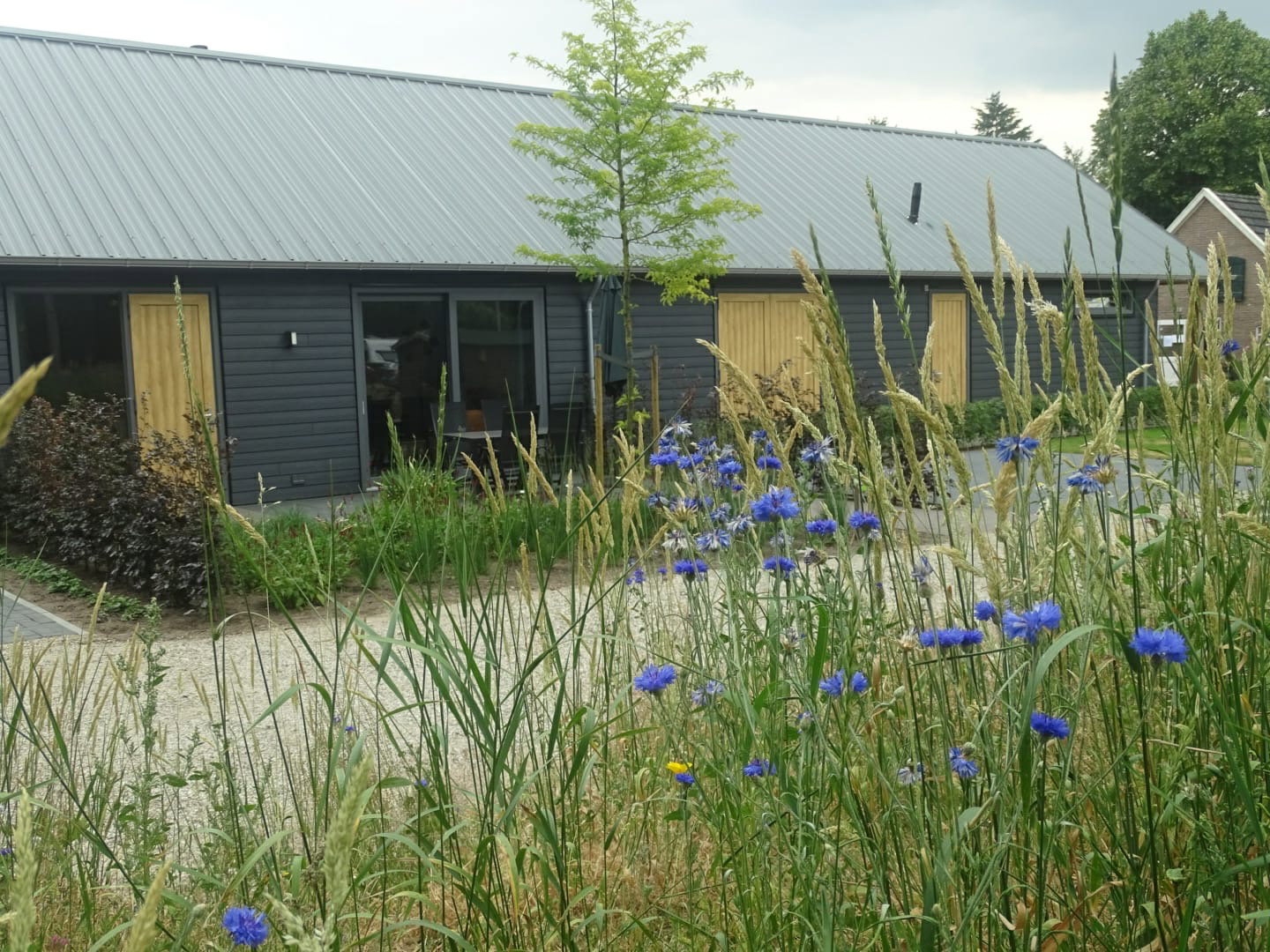 Maison nature à Vorden