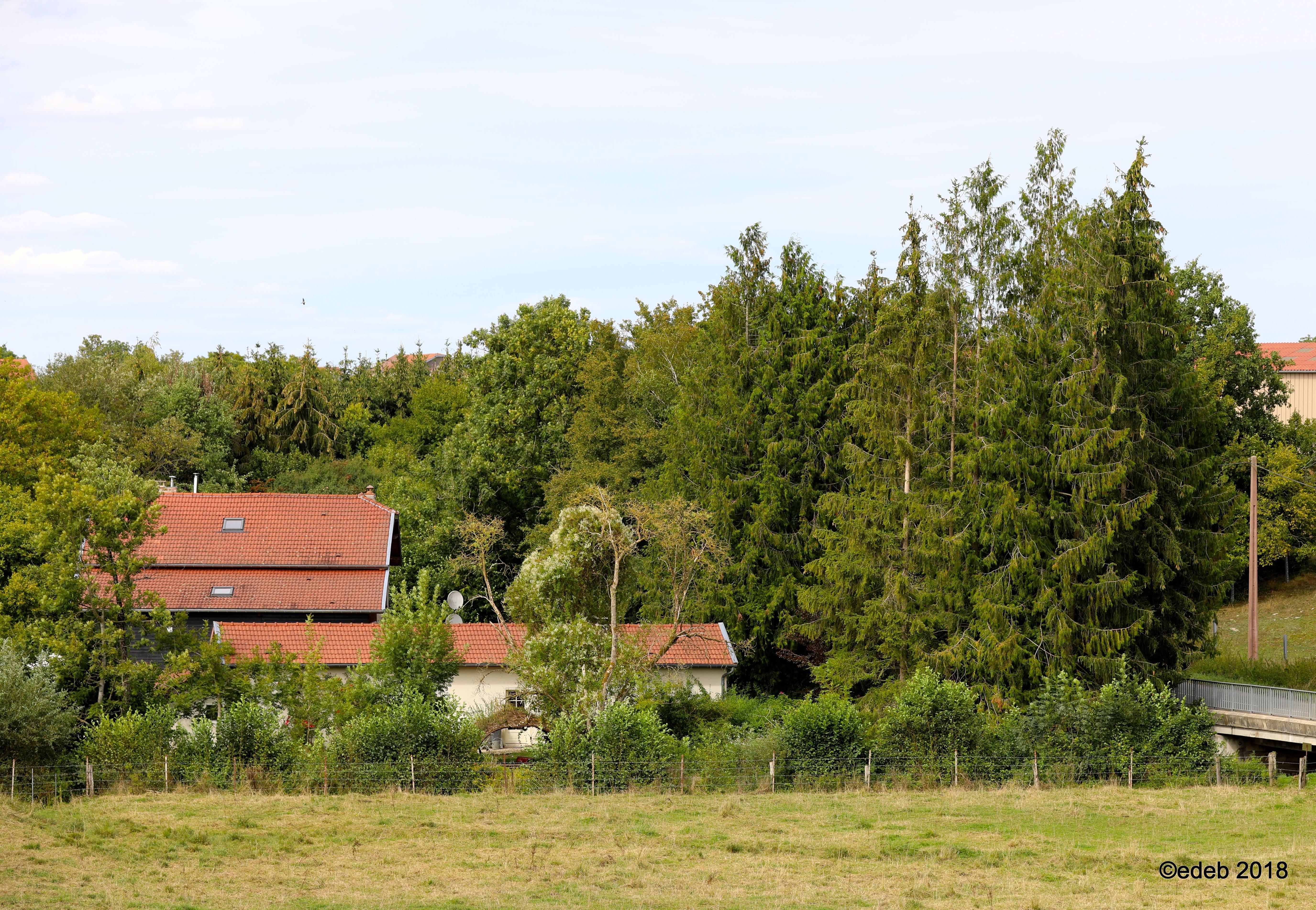 Maison nature à Cheppy