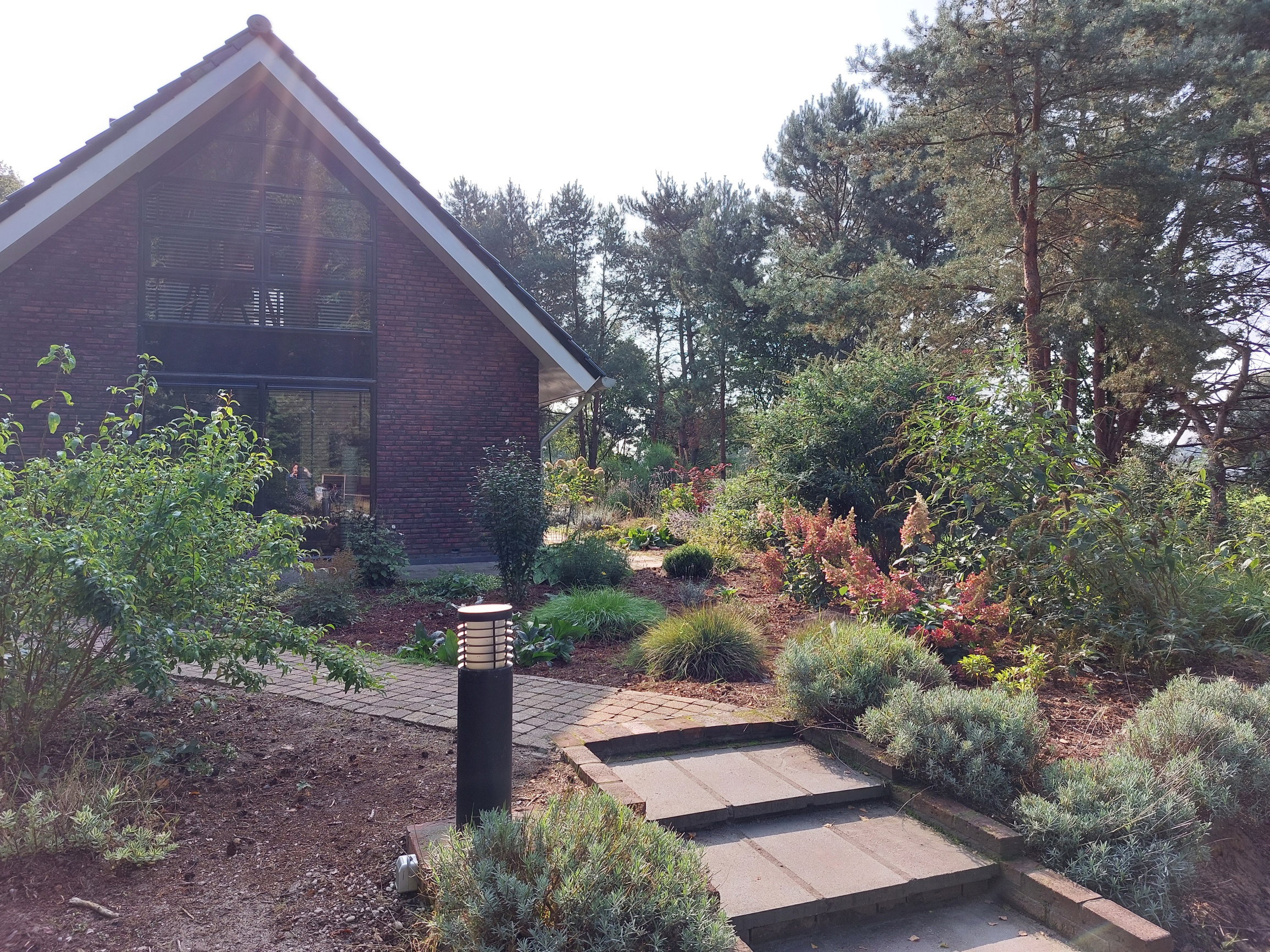 Maison nature à Ommen
