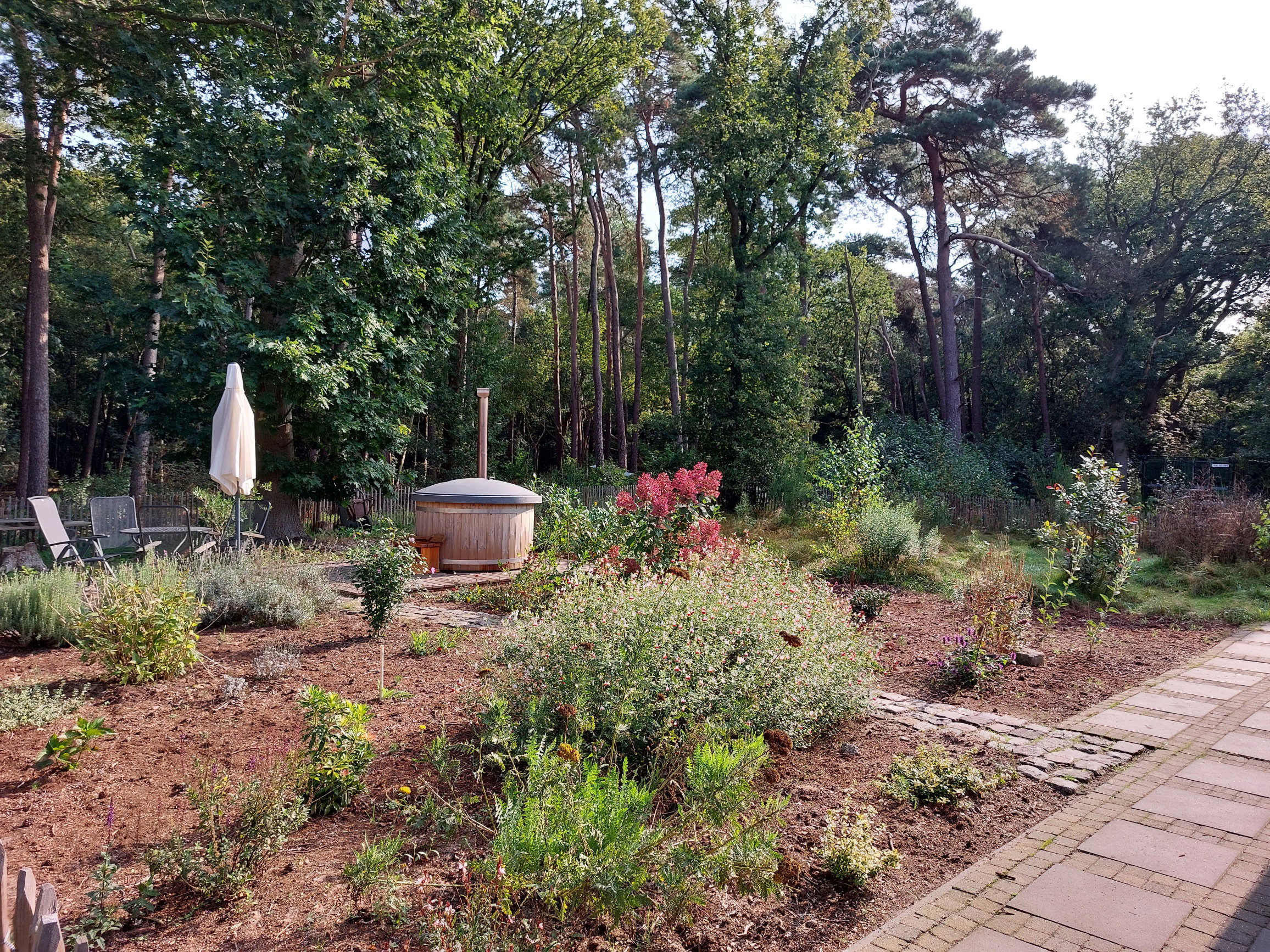 Maison nature à Ommen