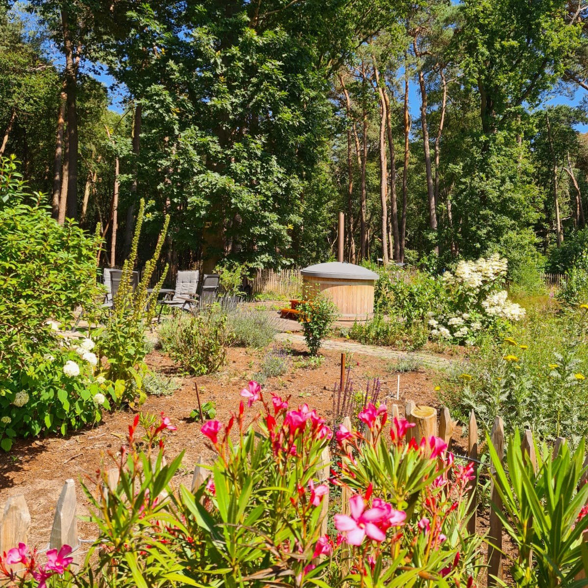 Maison nature à Ommen