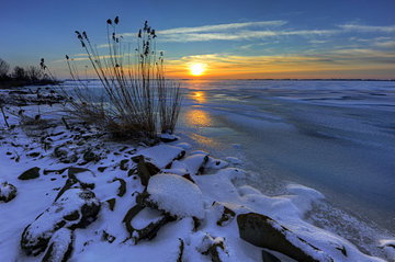 - image: 52