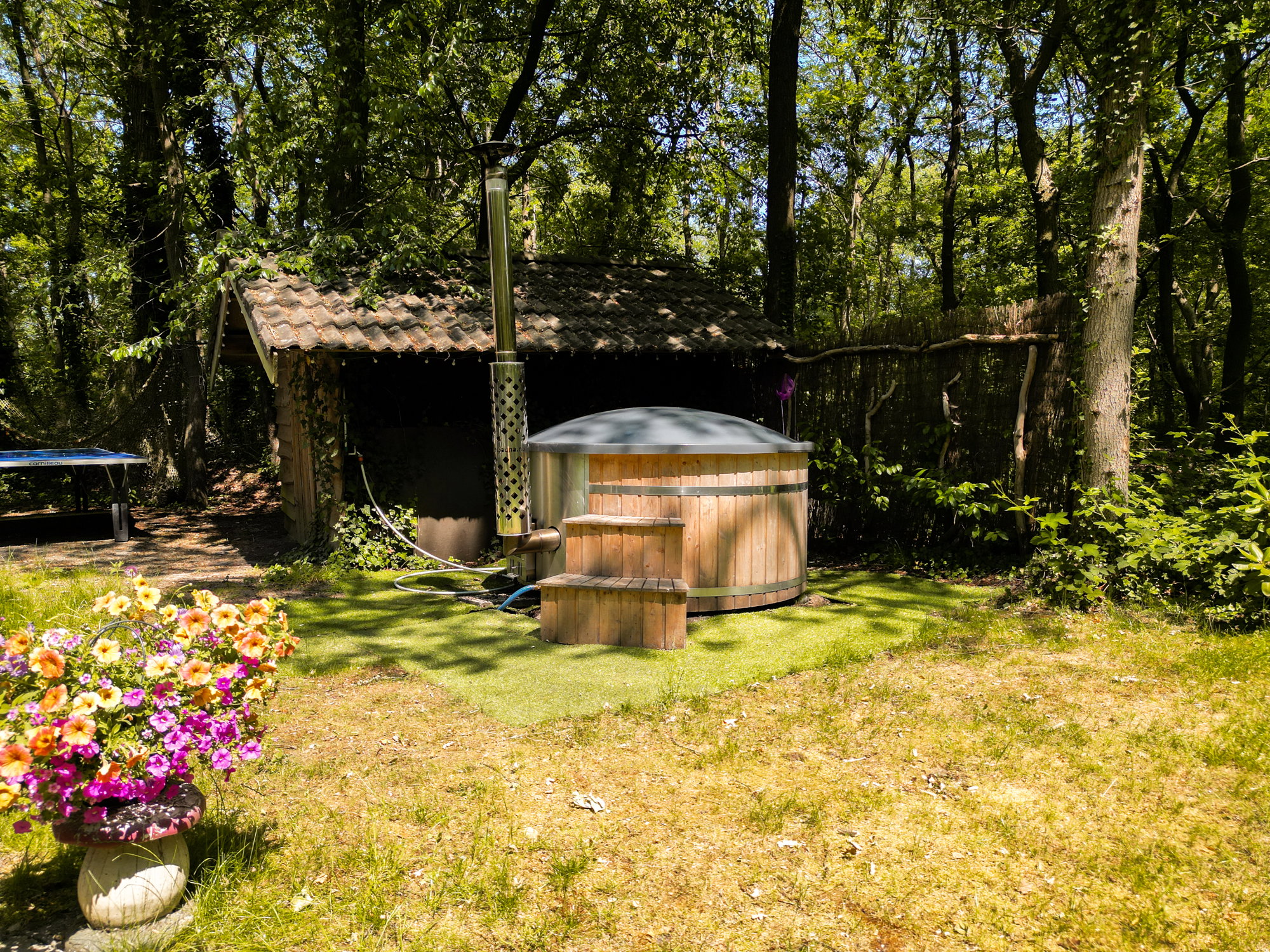 Naturhäuschen in Wateren (Westerveld)