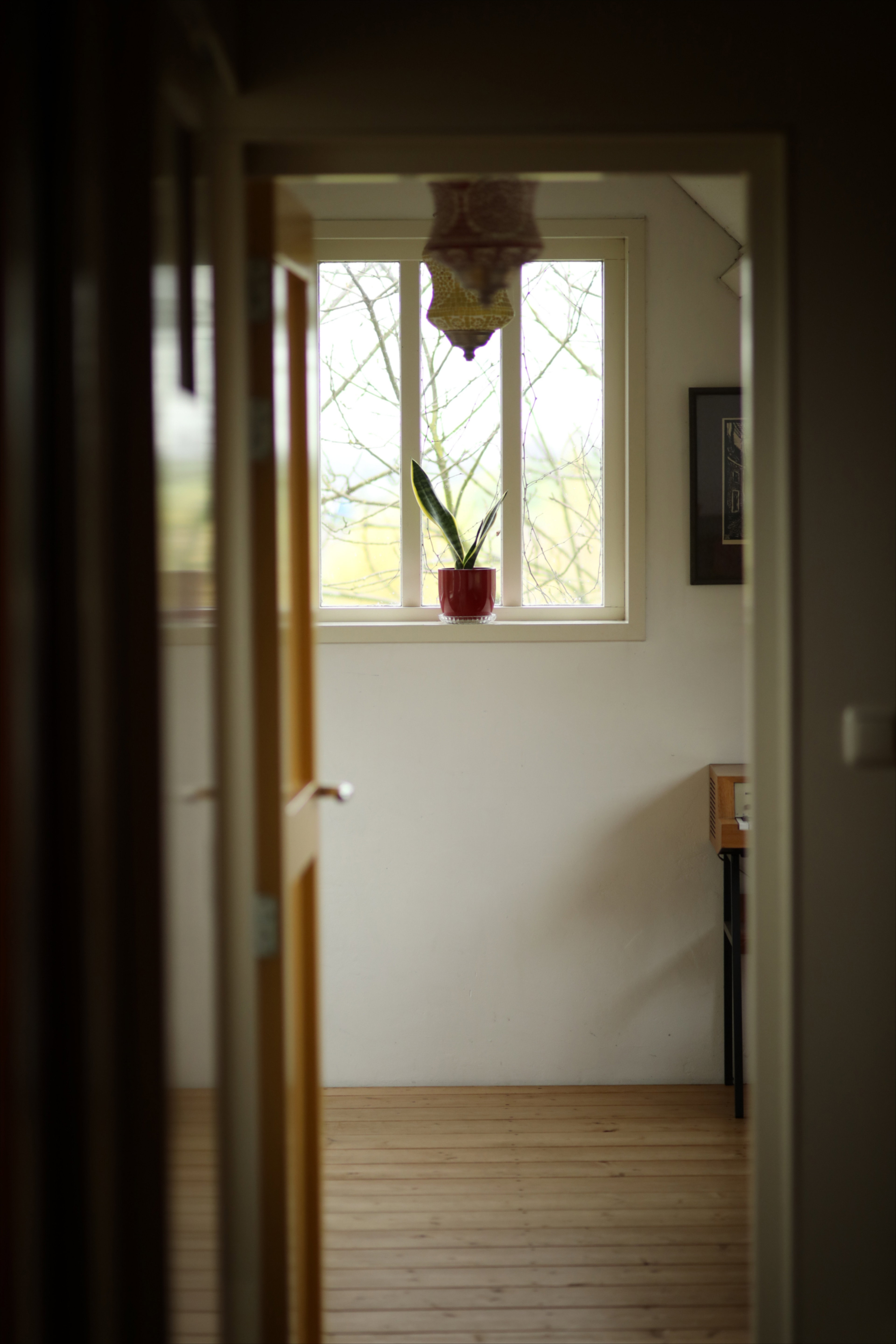 - image: 14