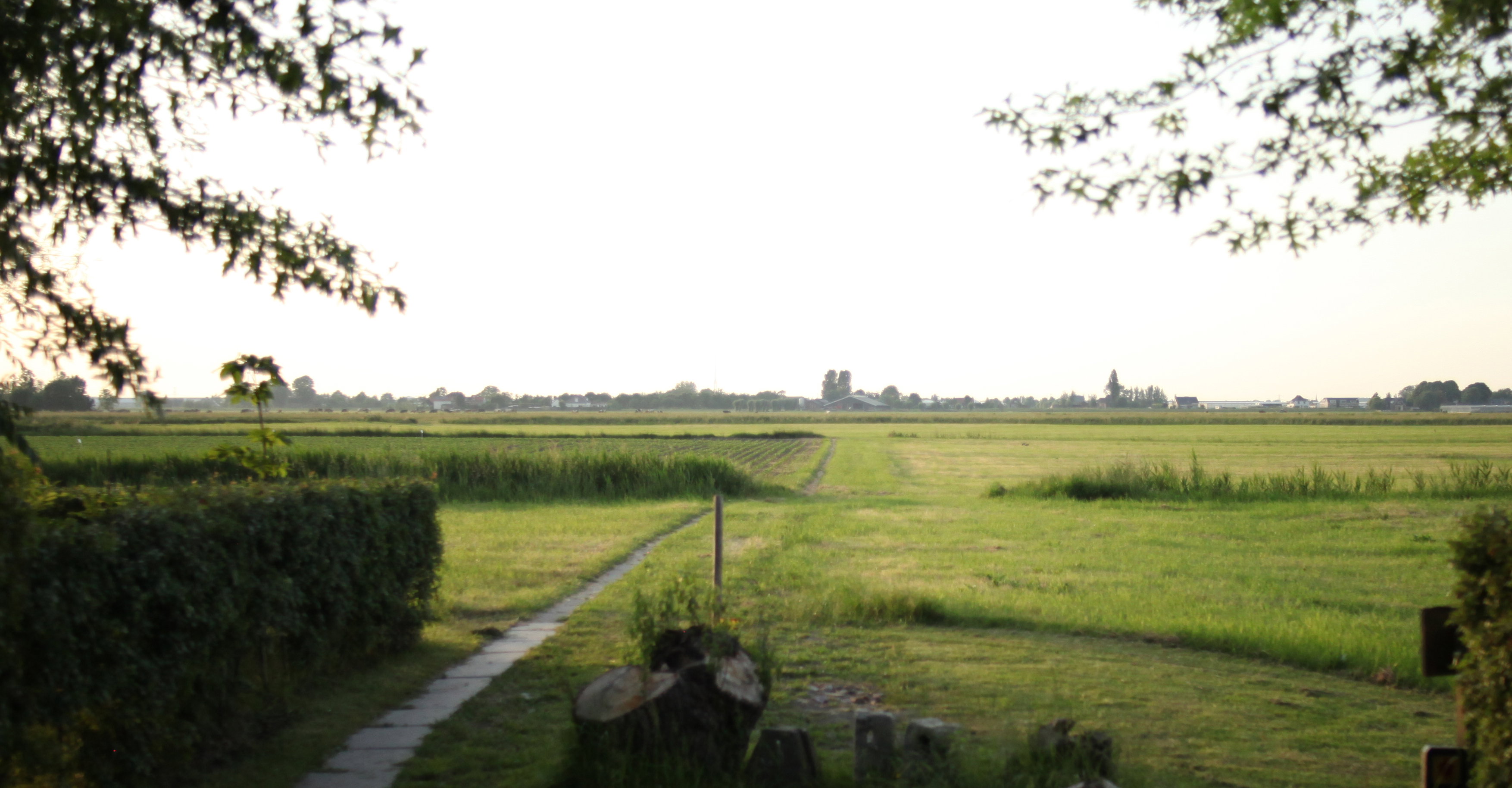 - image: 15