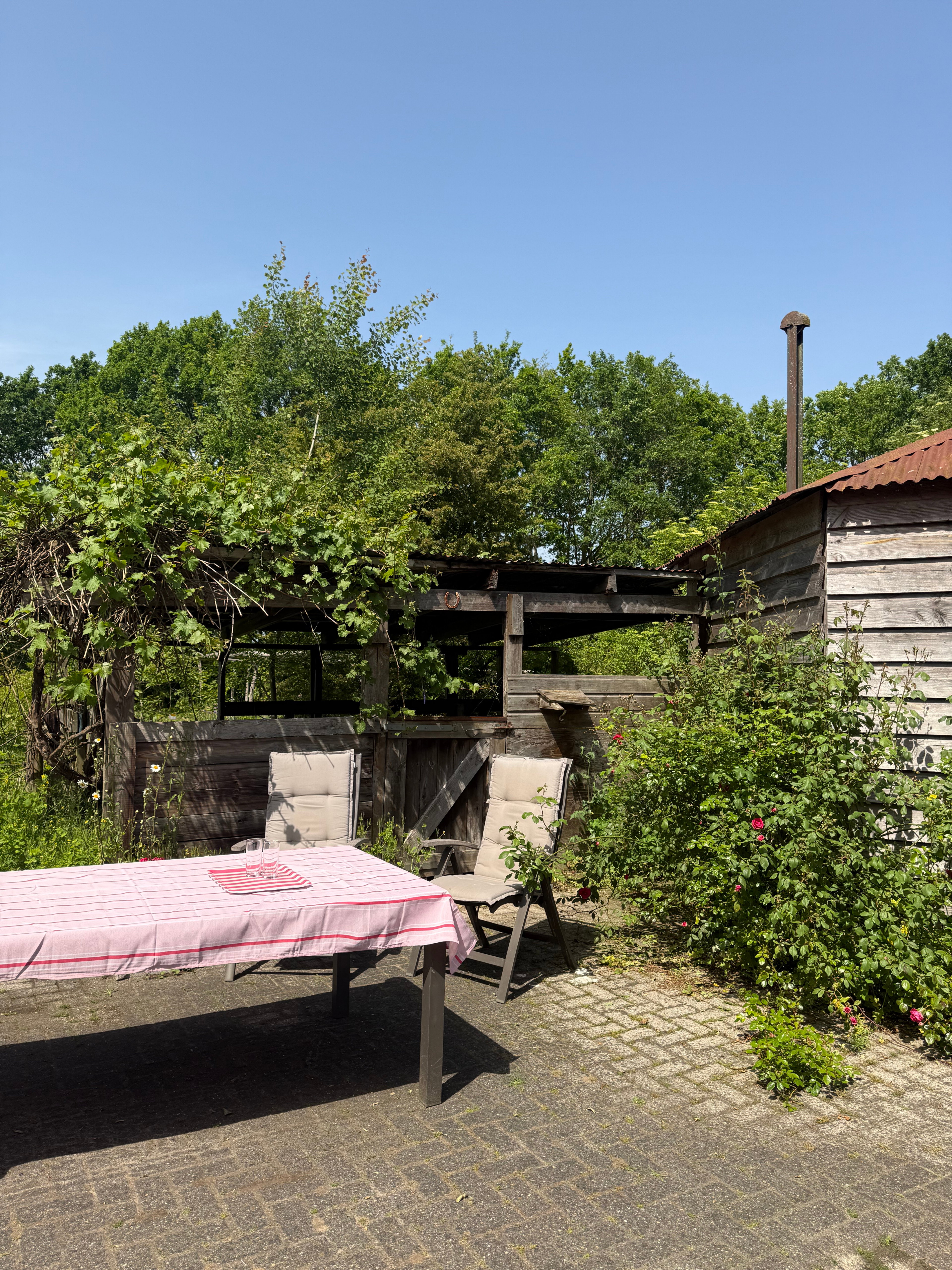 Natuurhuisje in Ommen
