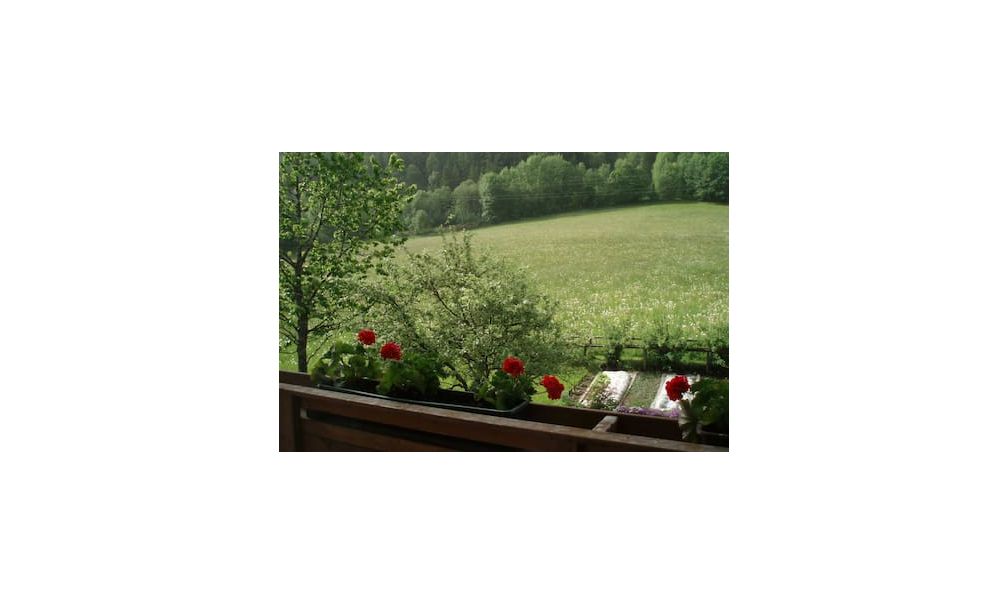 - image: 12