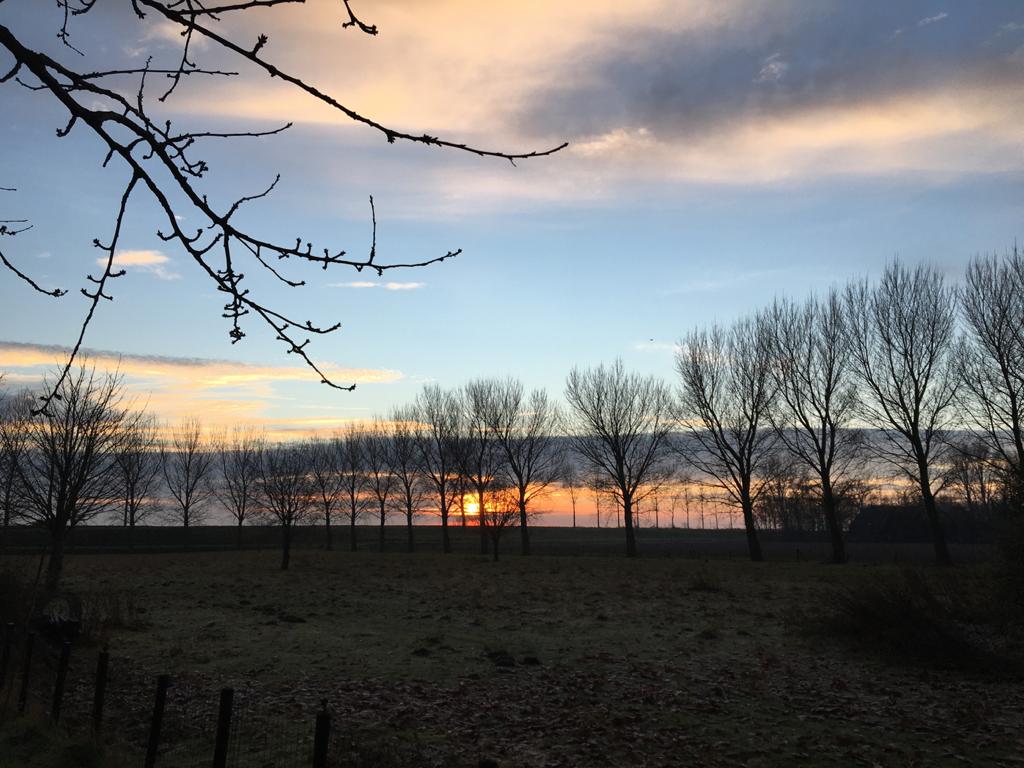 Naturhäuschen in Zierikzee