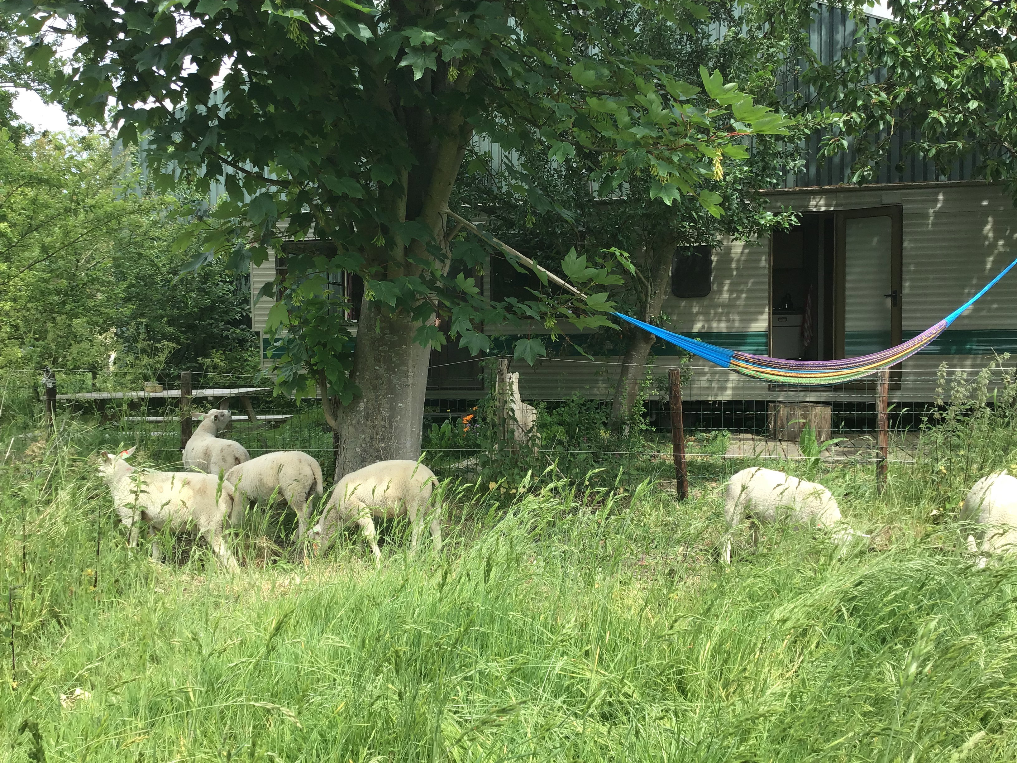 Naturhäuschen in Zierikzee