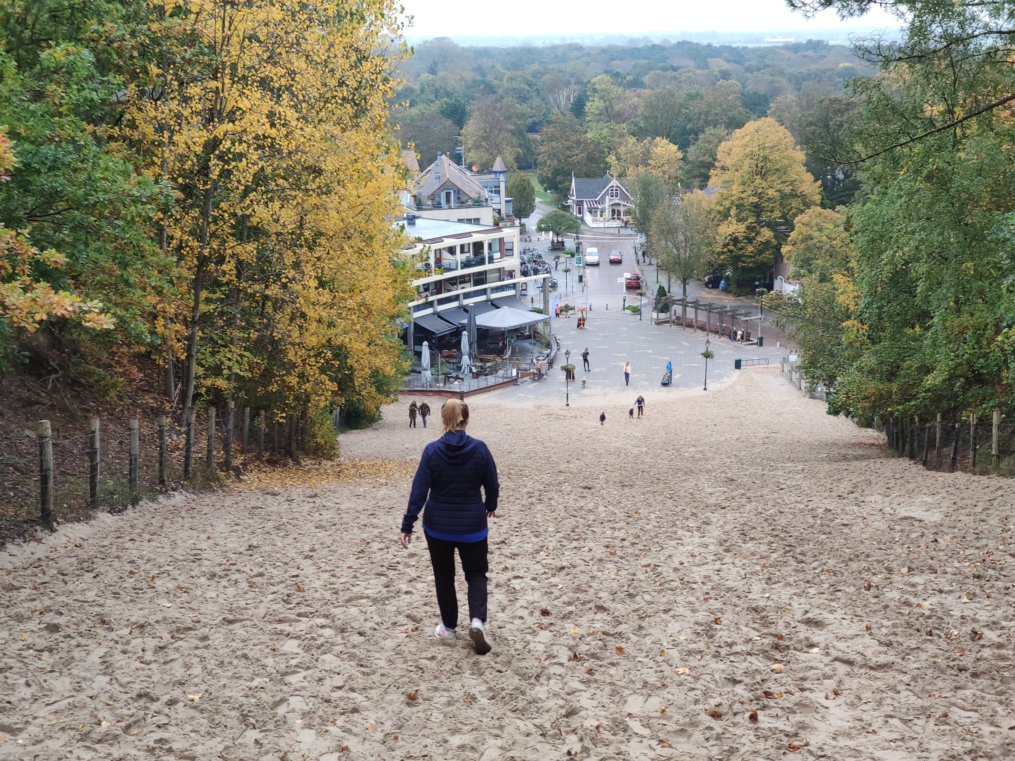 - image: 41