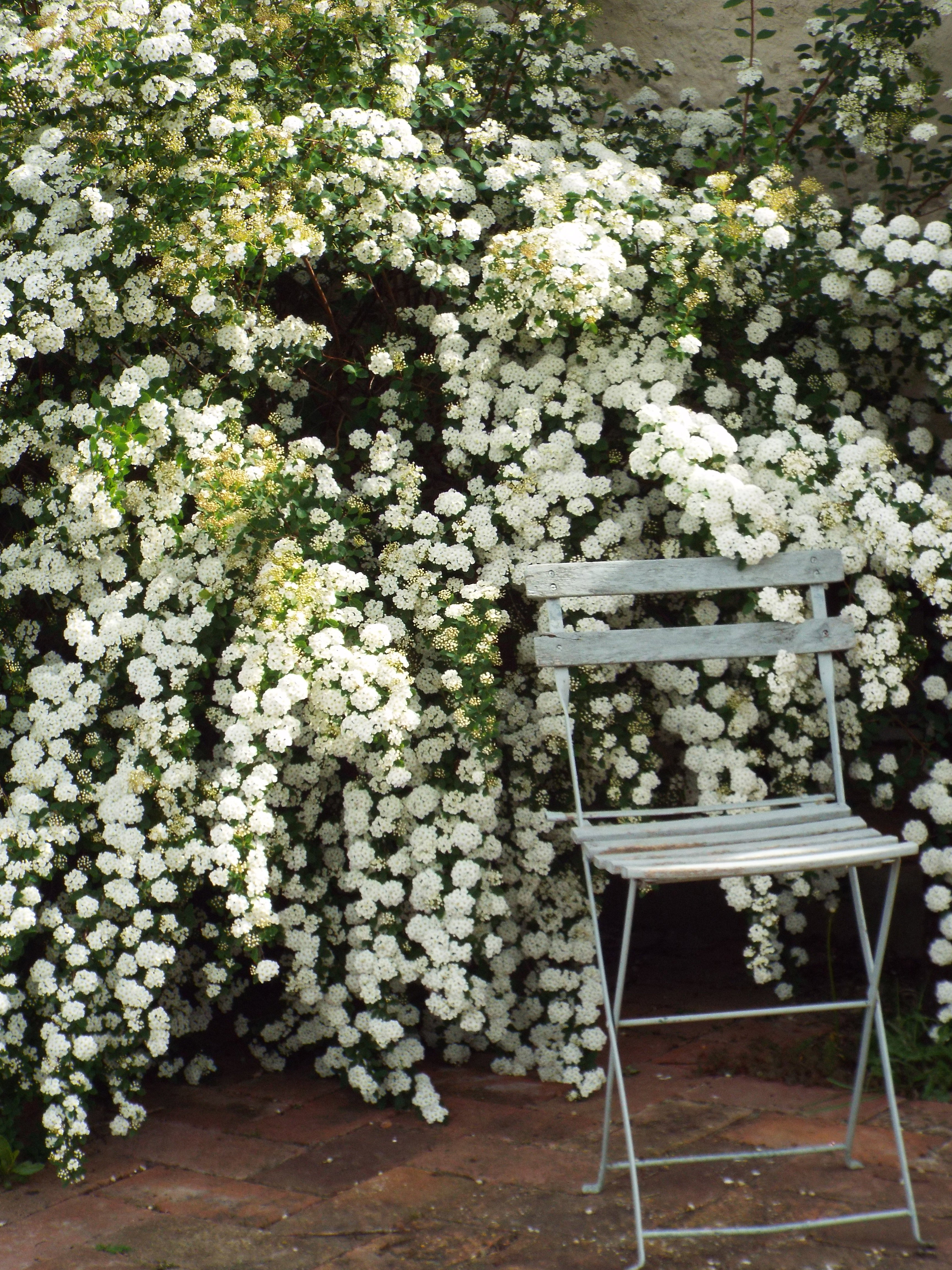 - image: 20