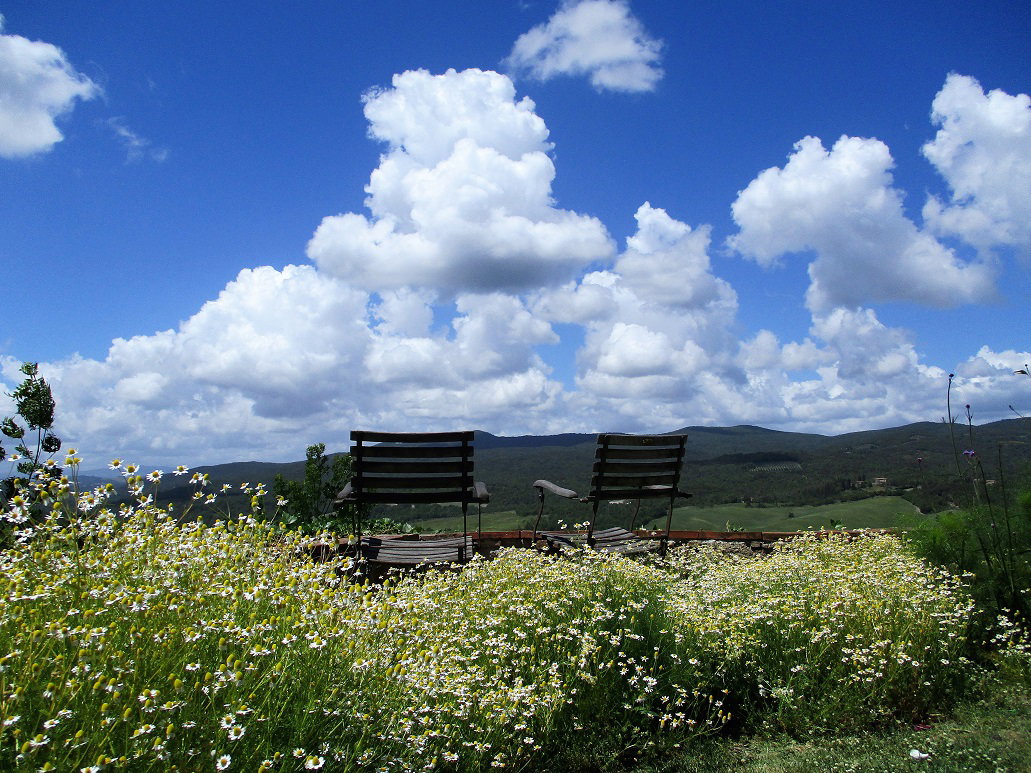 Nature house in casole d'elsa