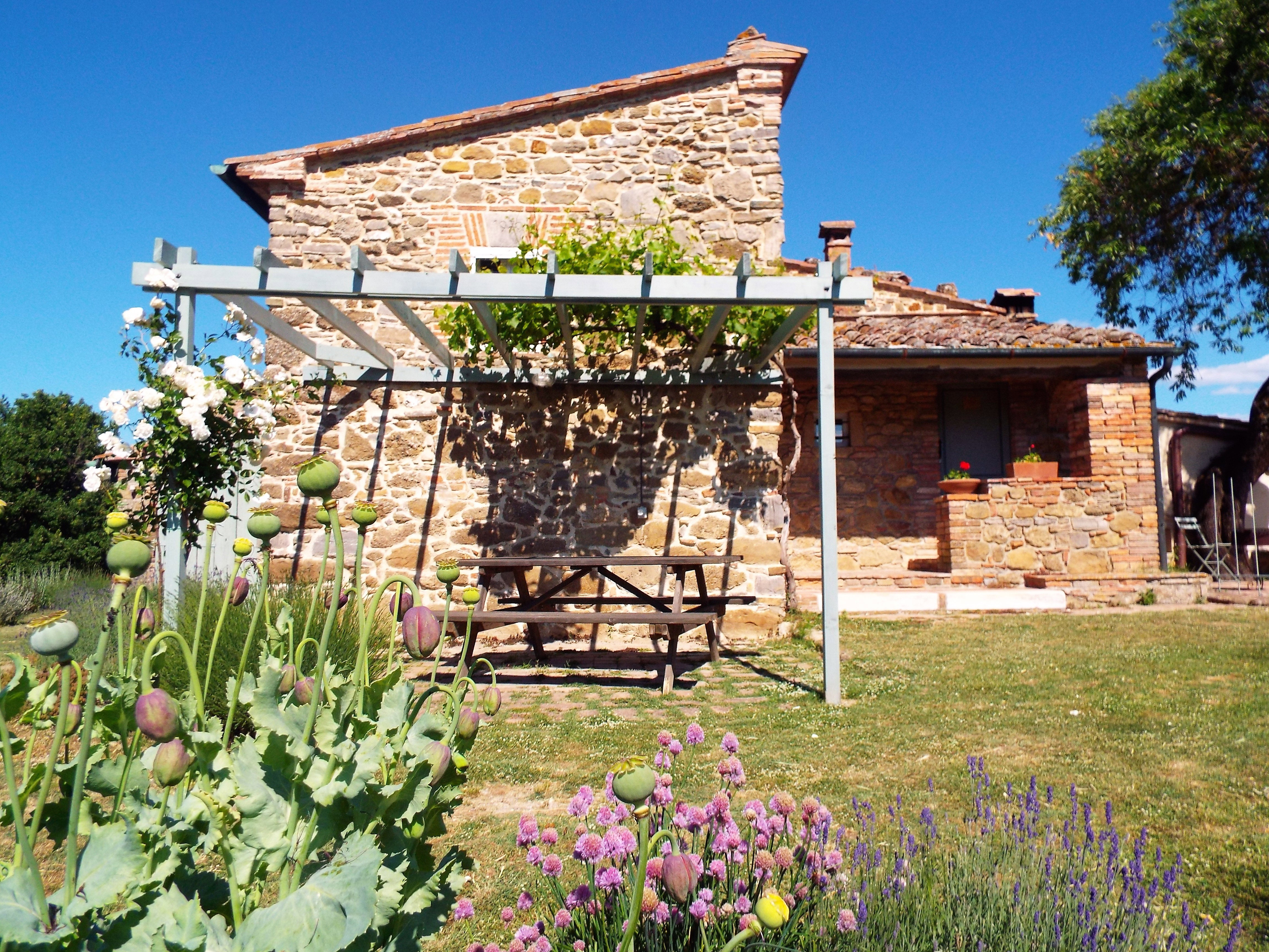Nature house in casole d'elsa