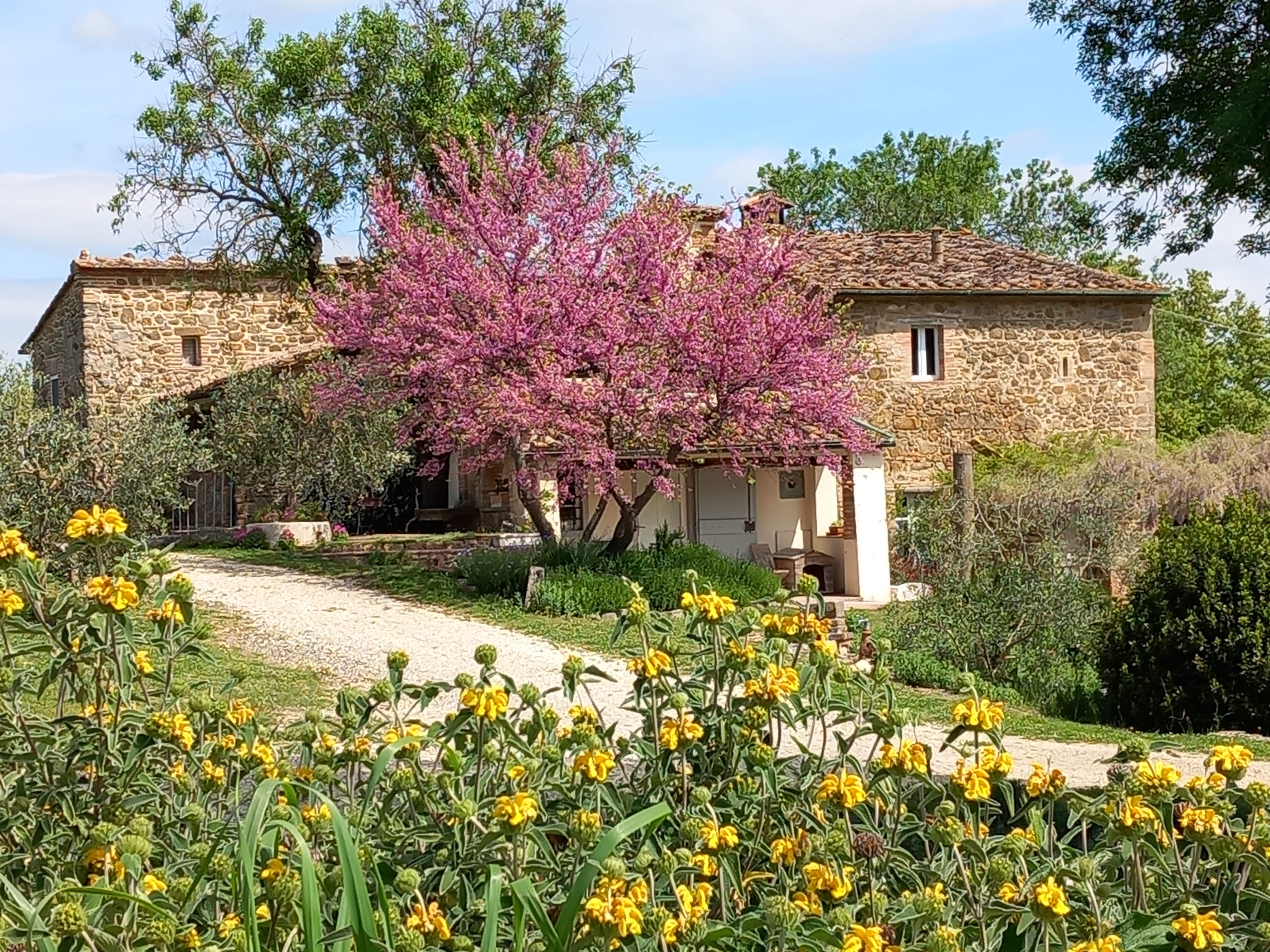 - image: 24