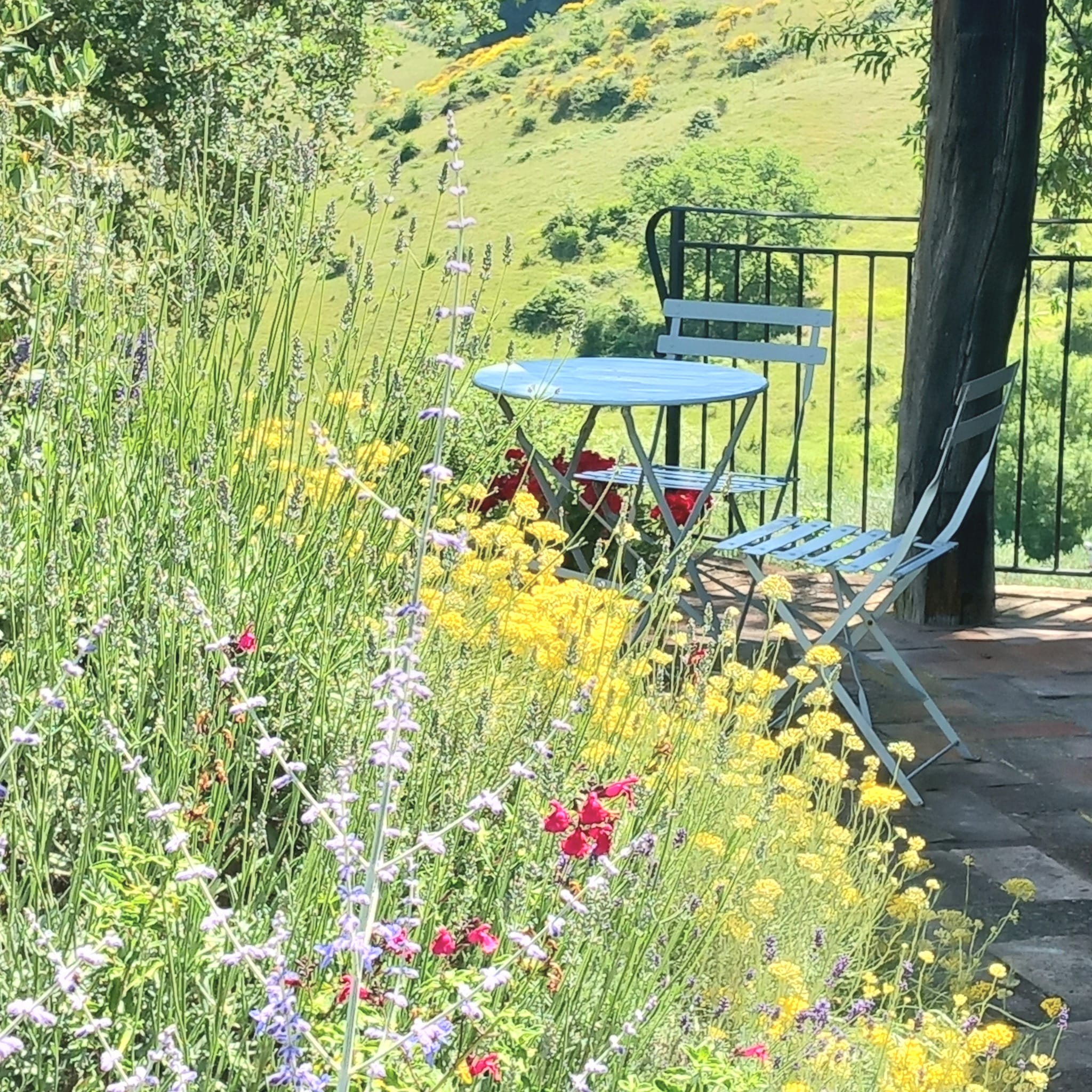 Natuurhuisje in casole d'elsa