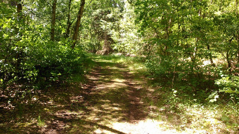 Naturhäuschen in Makkum (Friesland)