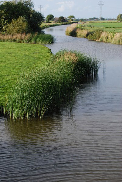 Naturhäuschen in Makkum (Friesland)