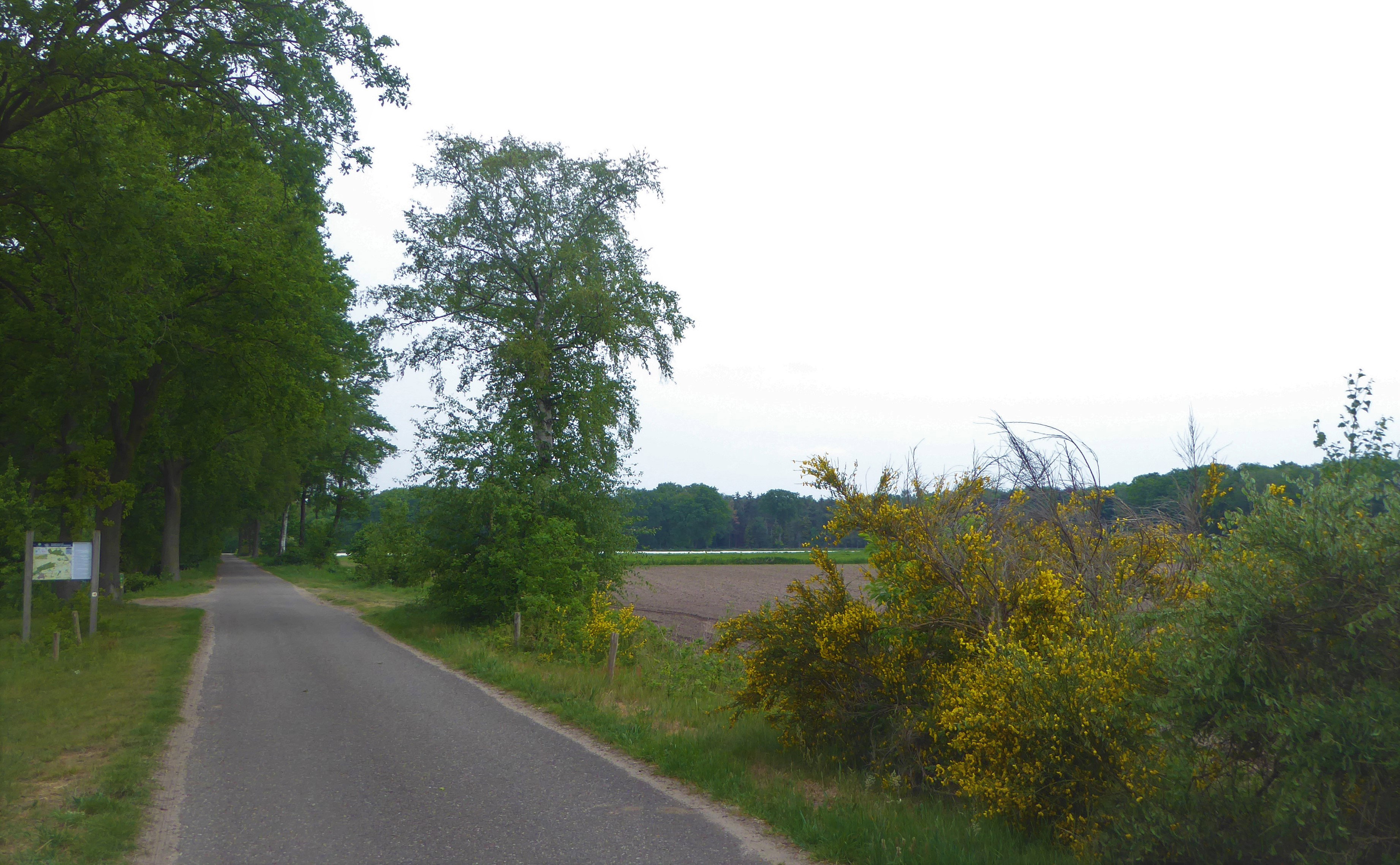 - image: 28