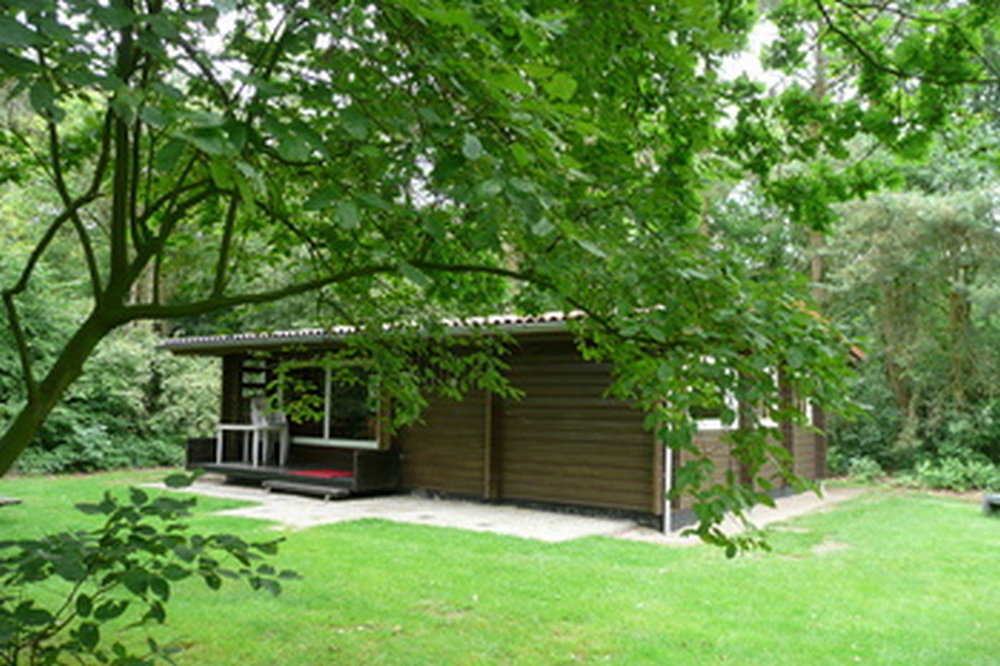 - image: 2