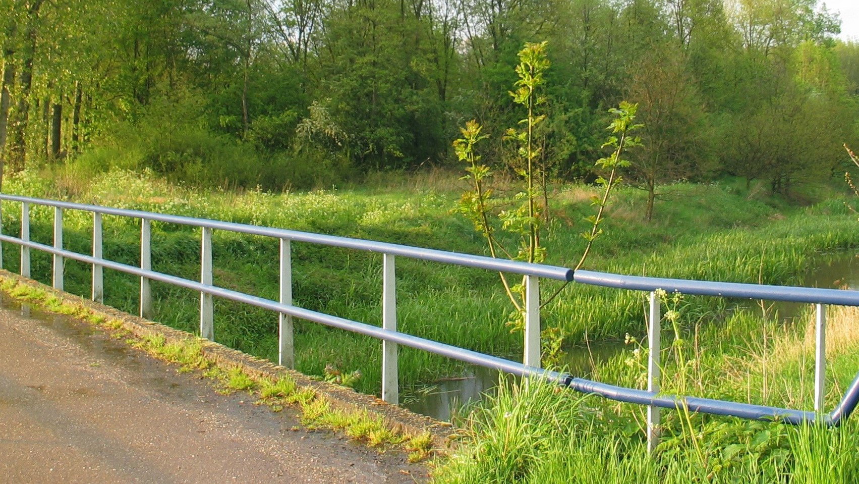 - image: 28