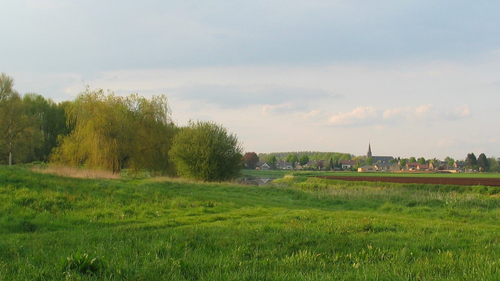 - image: 25