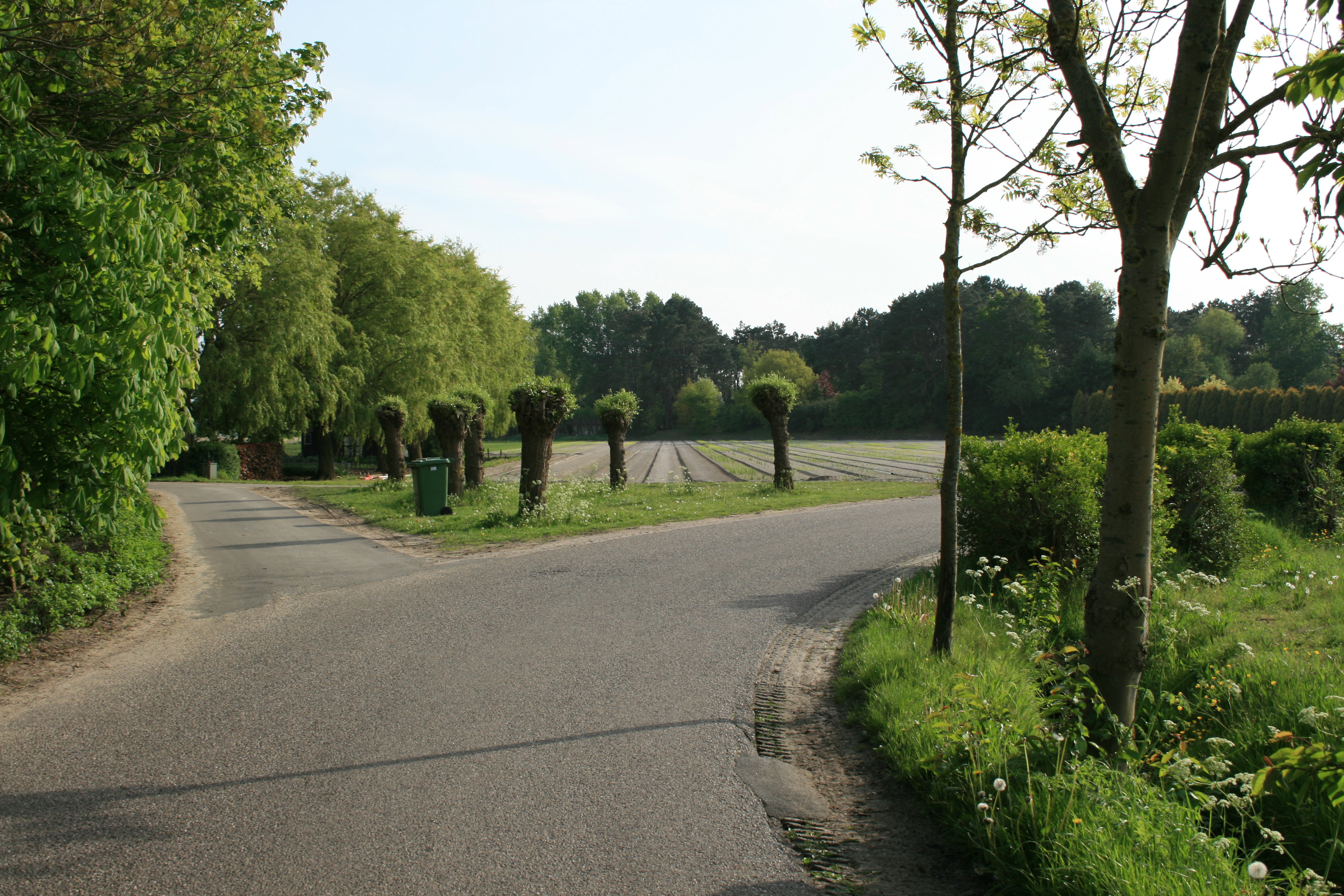- image: 25