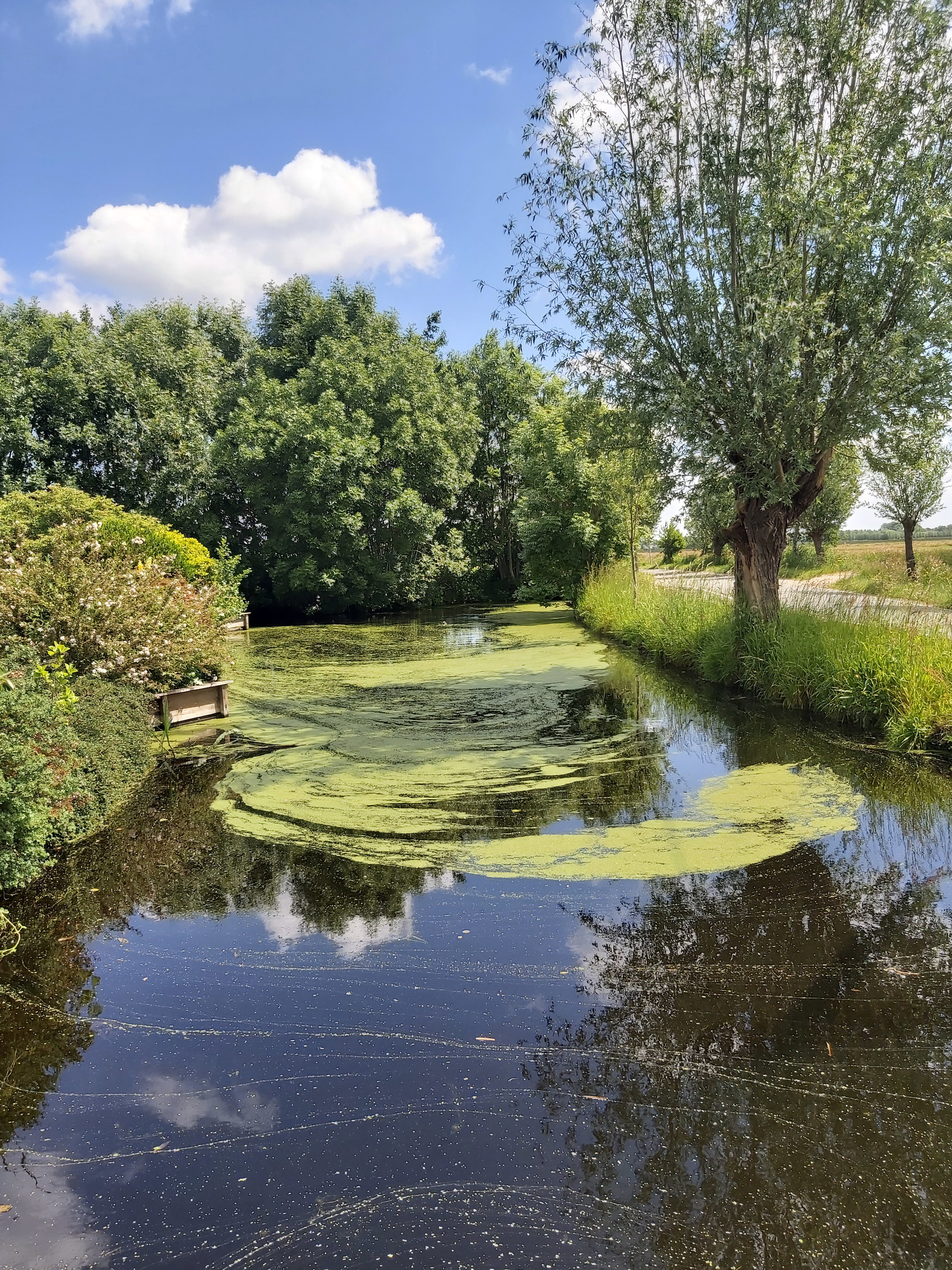 Maison nature à Oudewater