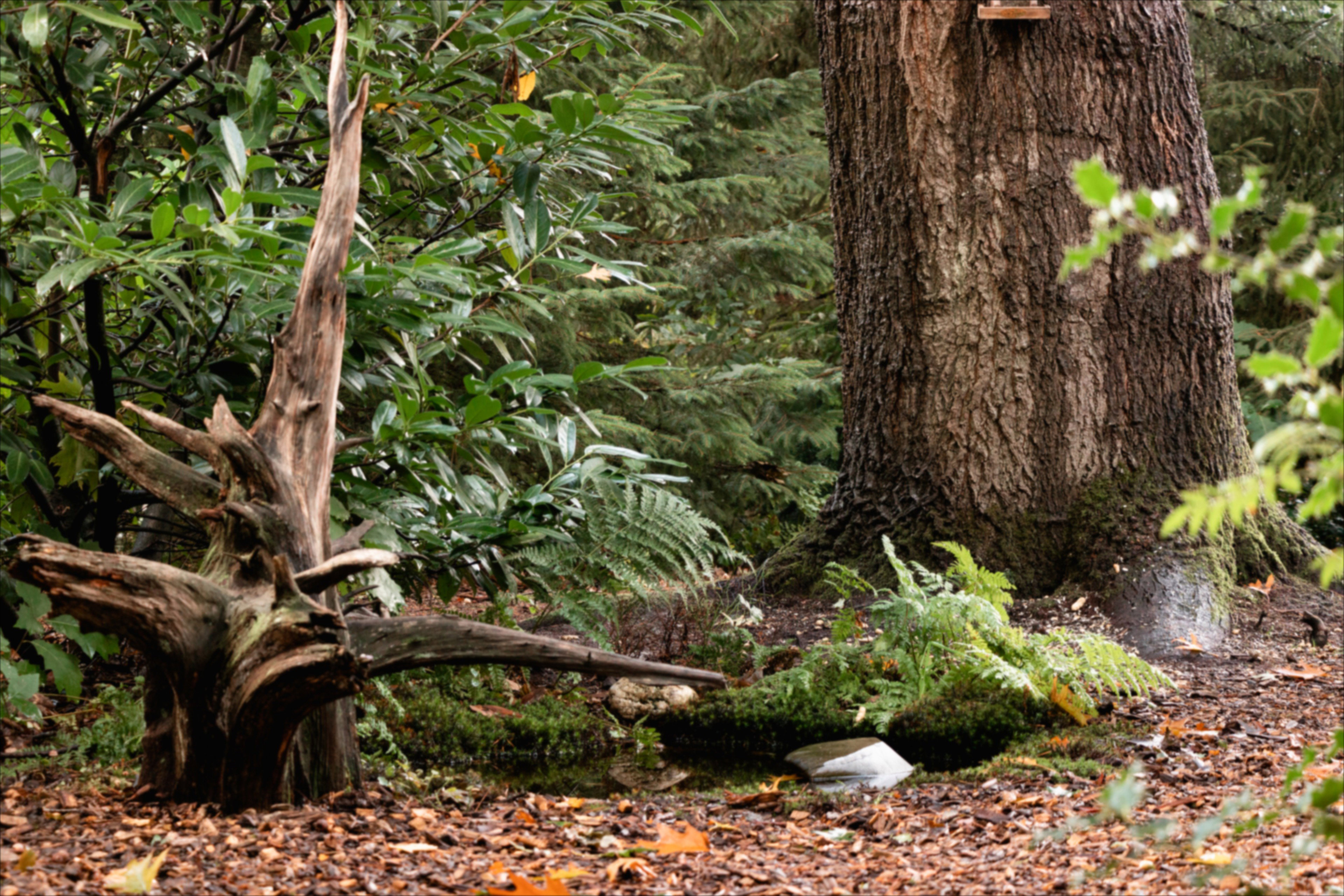 - image: 21