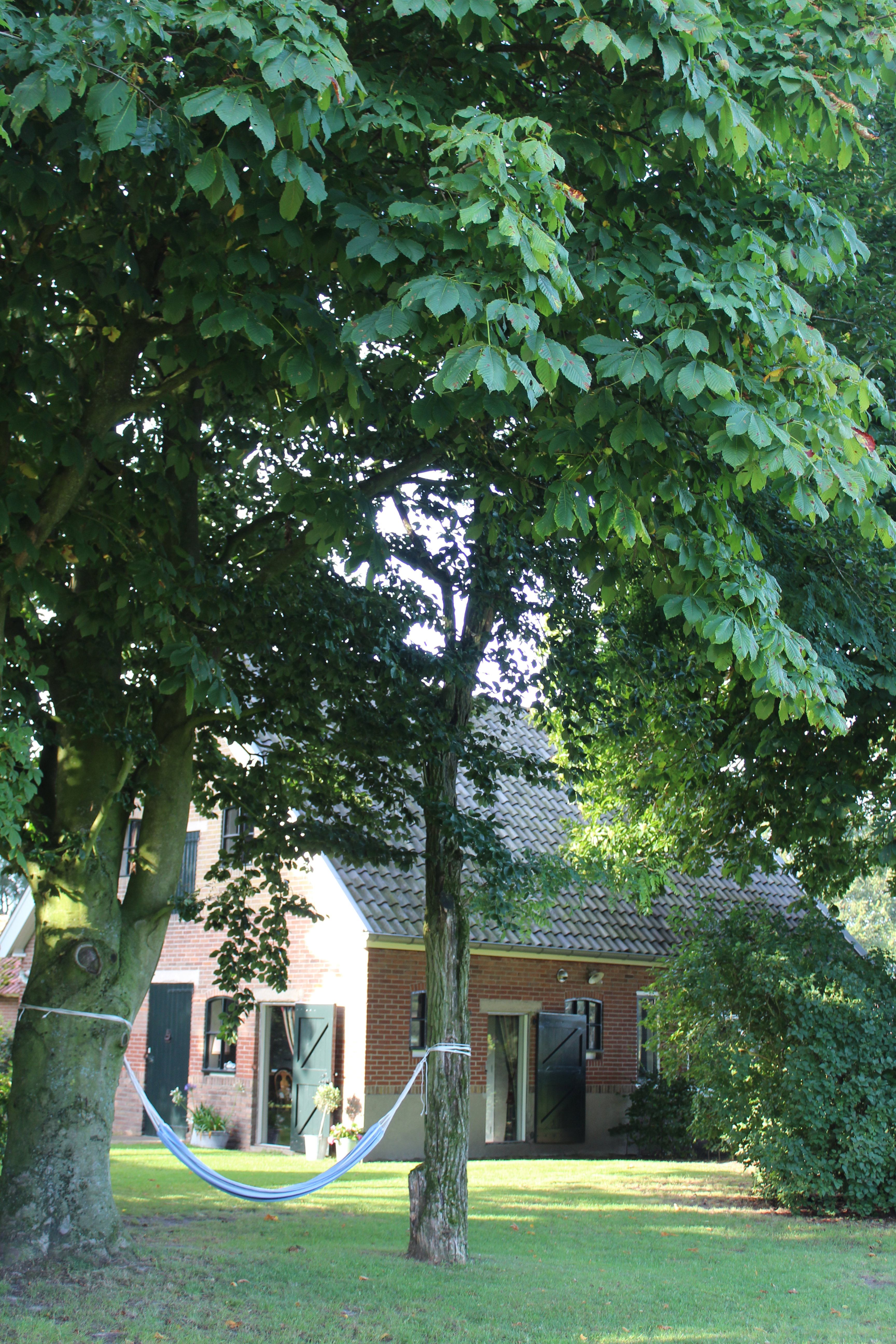 Natuurhuisje in Kootwijk
