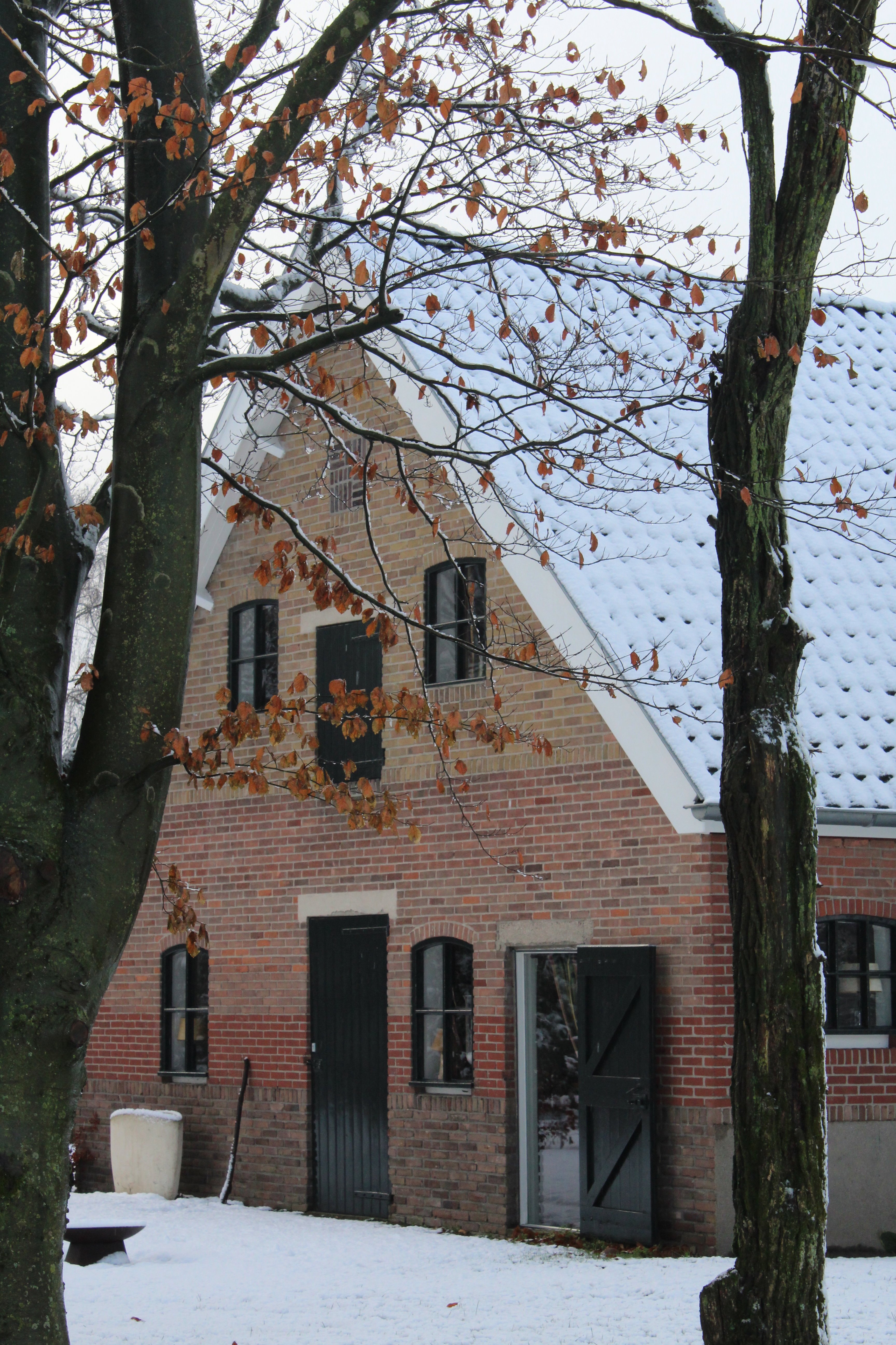 - image: 25
